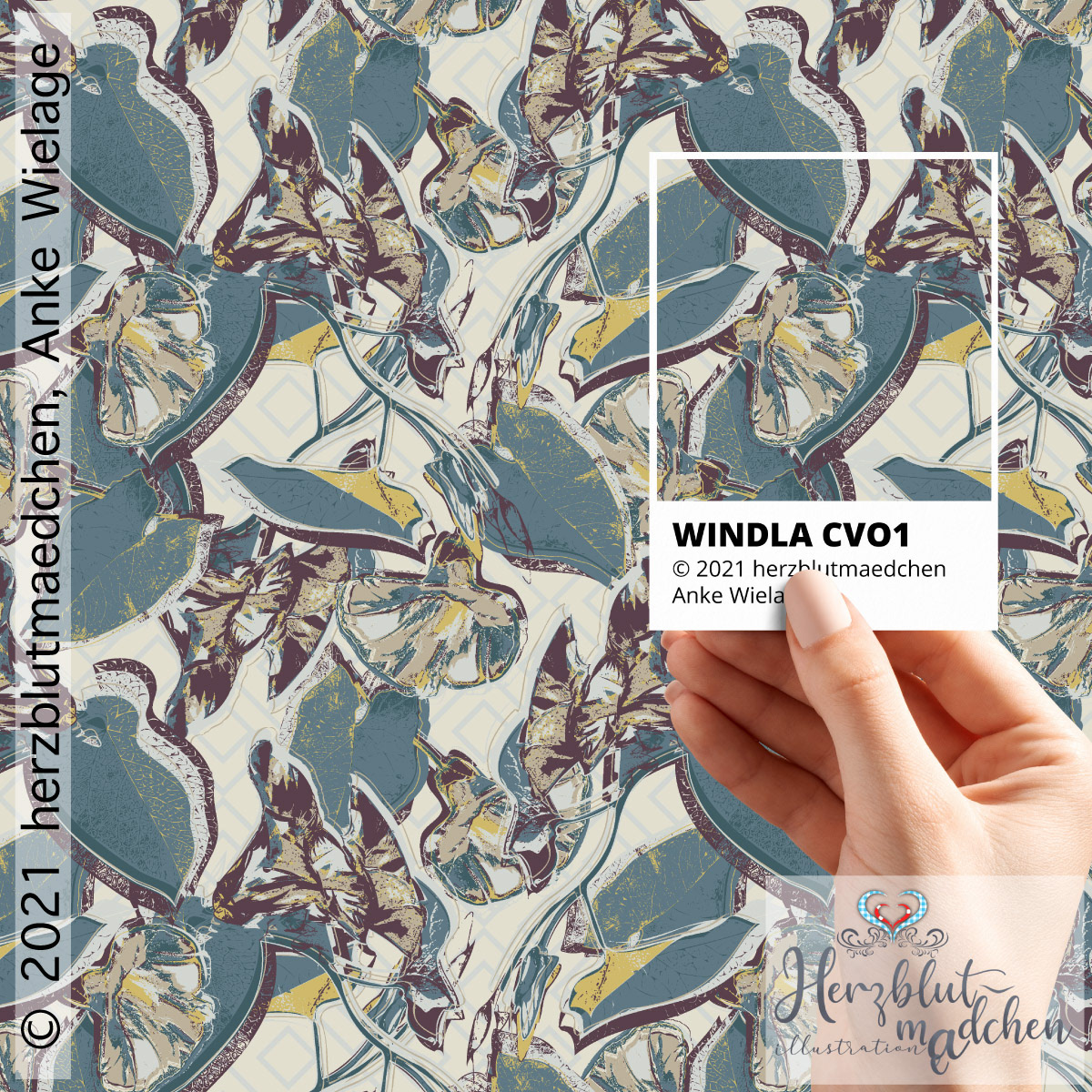 WINDLA CVO1 (color variation01)