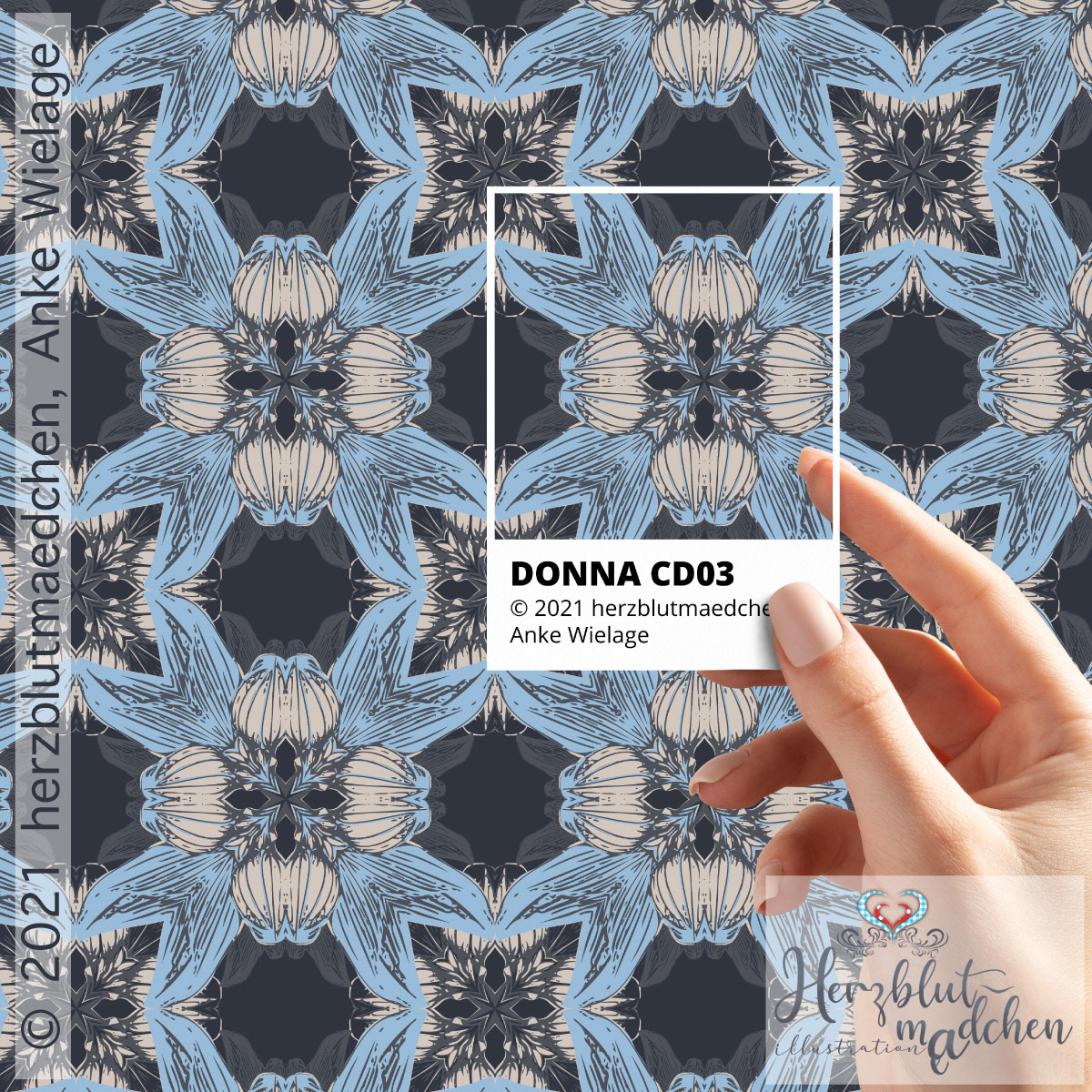 'DONNA' coordinate design3