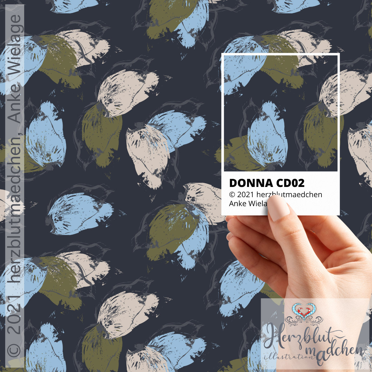 'DONNA' coordinate design2