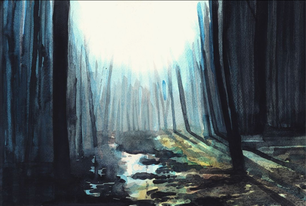 10. Forest – Liquid charcoal and watercolor on paper – Frame 40x50cm - Artwork 26x38cm - Price artwork 100€ / With frame + passepartout 210€