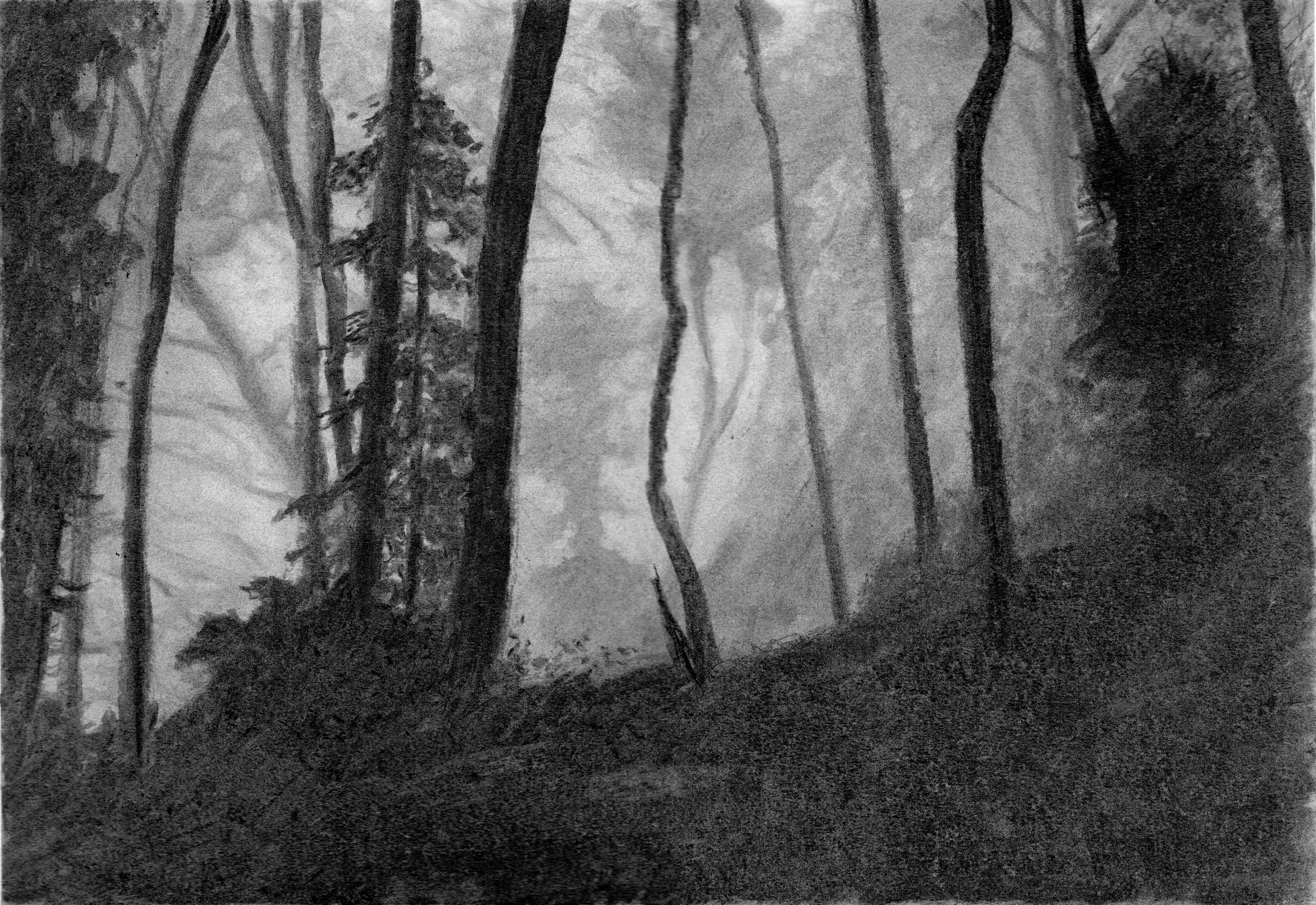 Charcoal