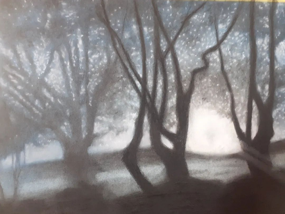 1. Willows – Charcoal, pigment and pastel on paper – Frame 70x90 cm - Artwork 46 x 67cm - Price artwork 150€ / With frame + passepartout 330€ / SOLD