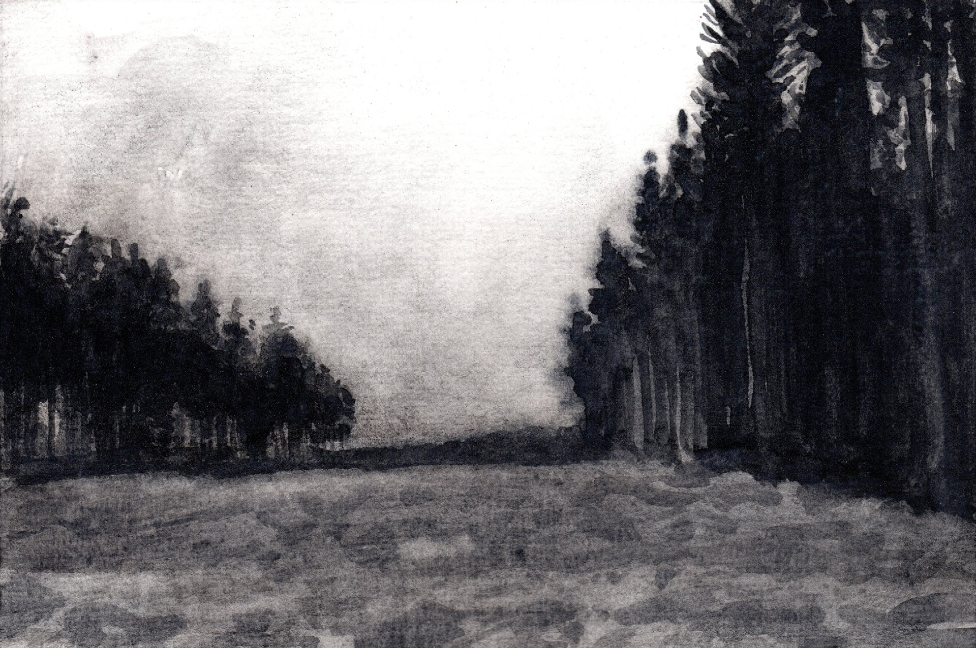 33. Forest – Liquid charcoal on paper – Frame 24x18cm - Artwork 18x12cm - Price artwork 50€ / With frame + passepartout 100€