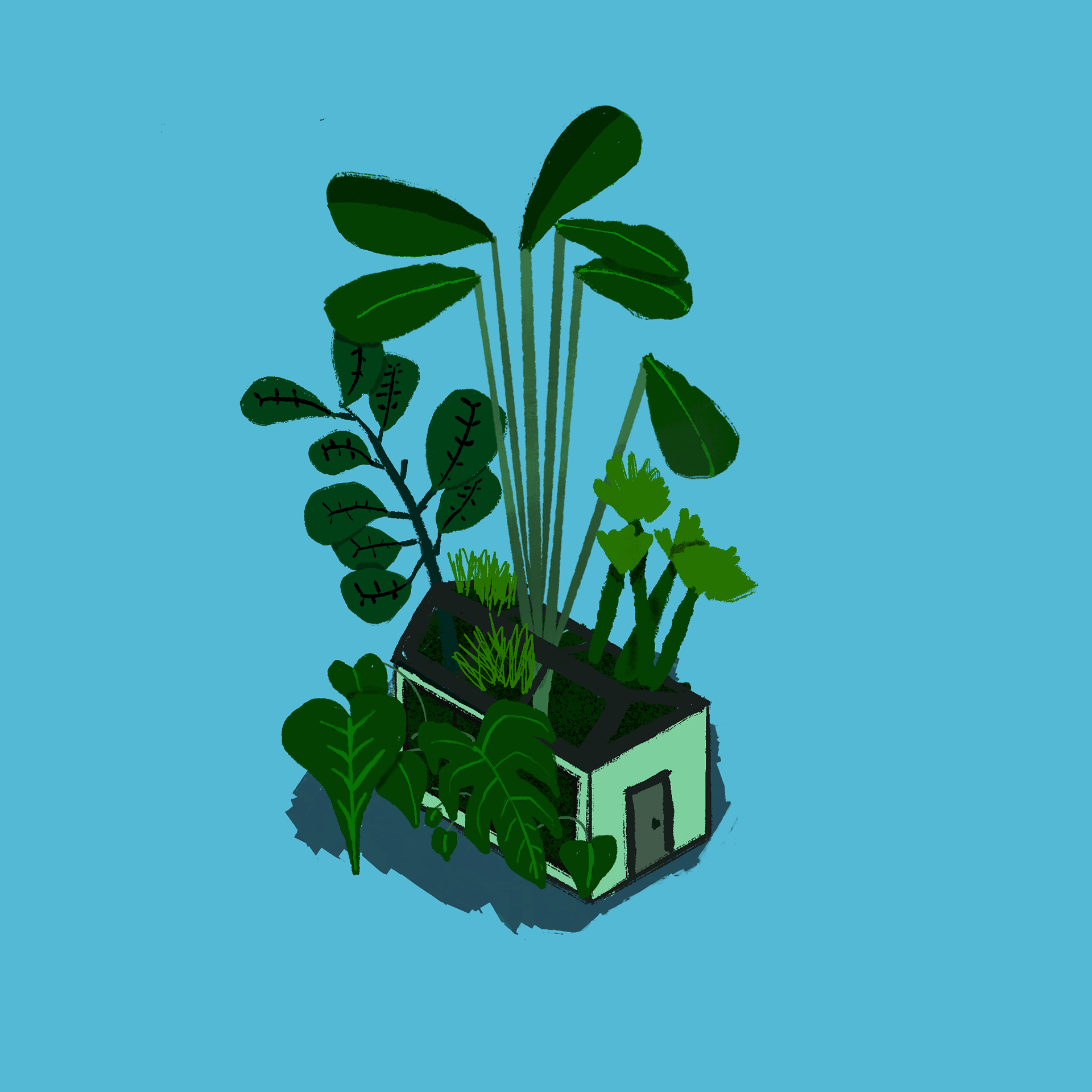 Greenhouse