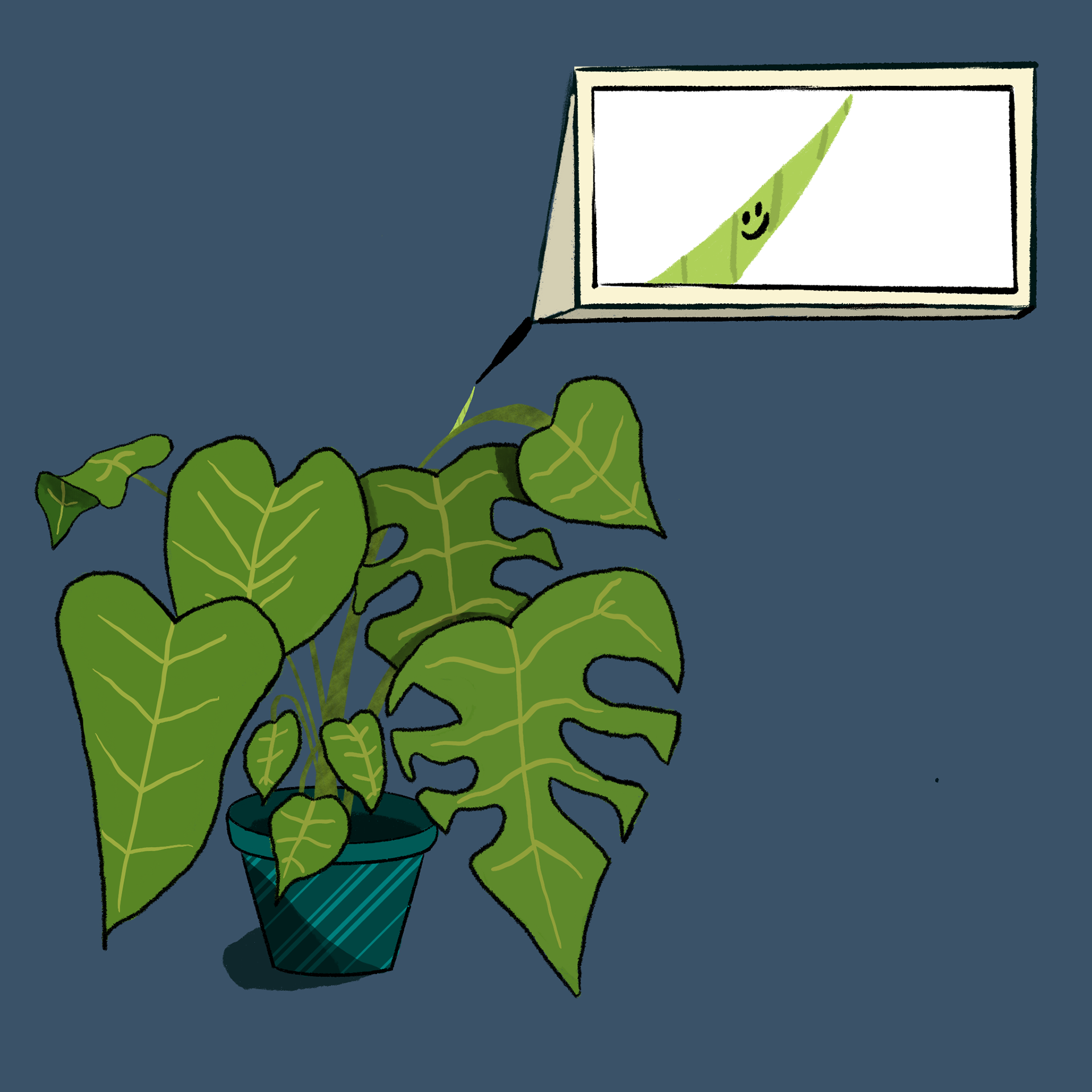 Bud