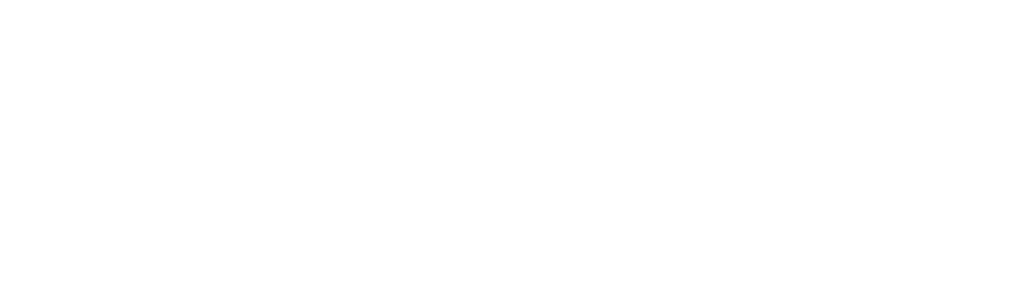 Adam Hamilton
