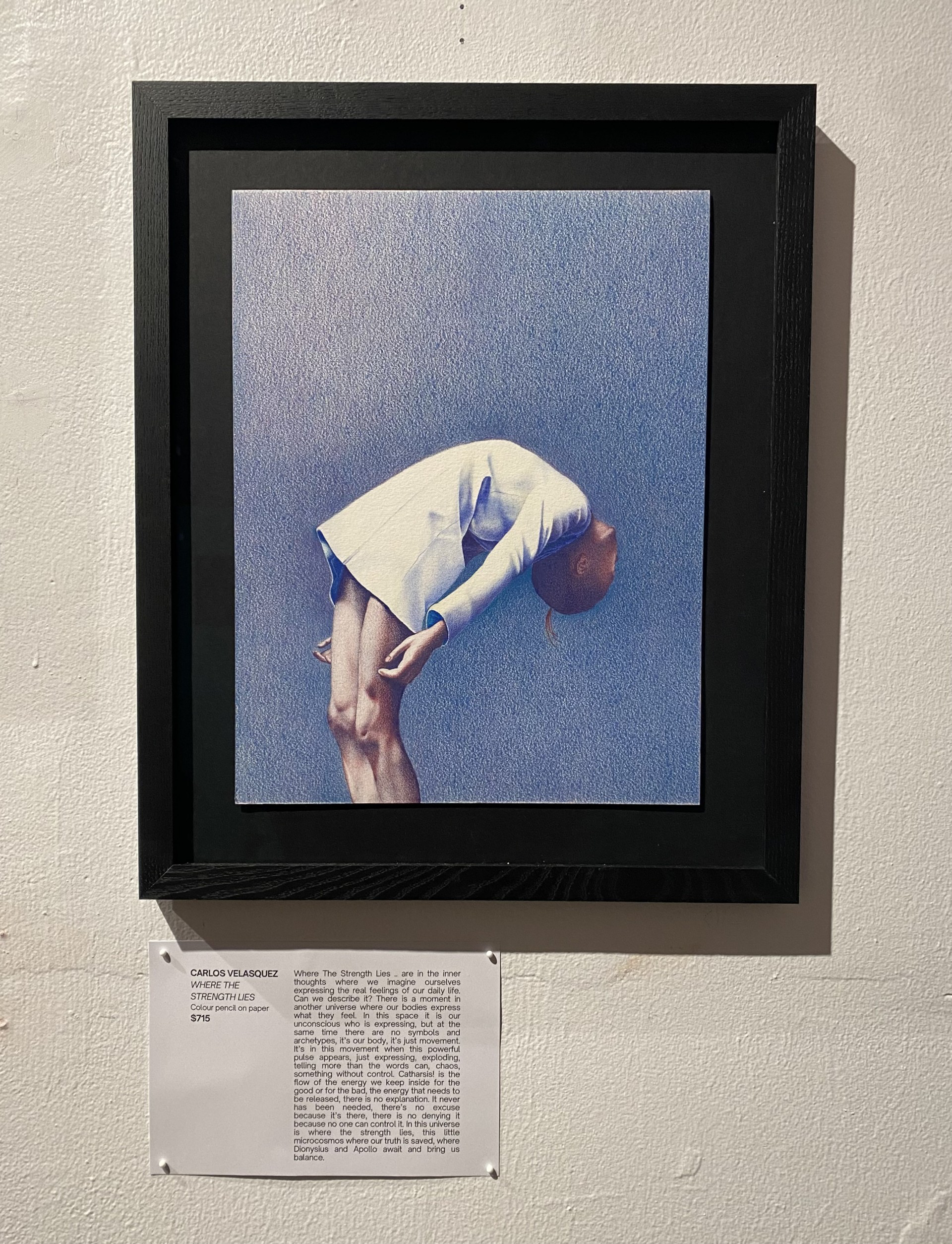 Gallery View, Honey Bones Gallery, Melbourne, 2024