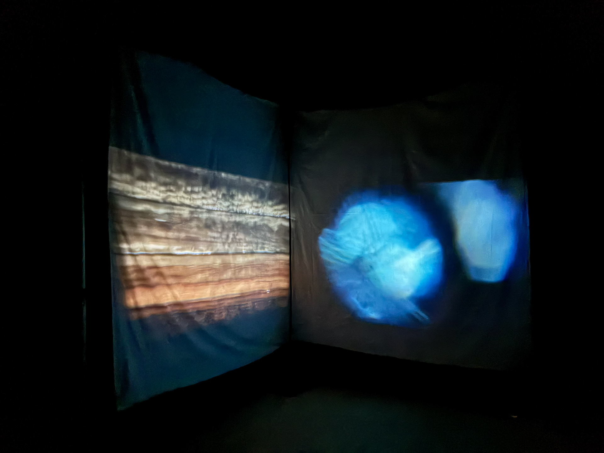 This is a video of the video installation made for the show Shedding, curated by Nomadz Collective at The Machine Hall in Sydney in June of 2026