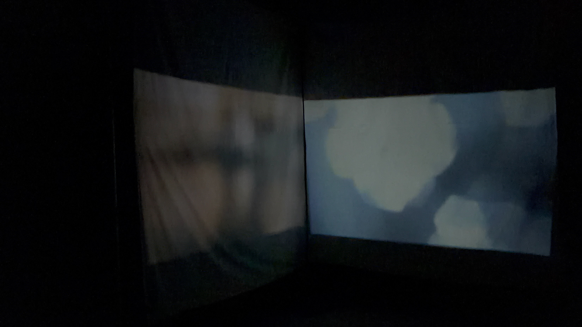This is a video of the video installation made for the show Shedding, curated by Nomadz Collective at The Machine Hall in Sydney in June of 2026
