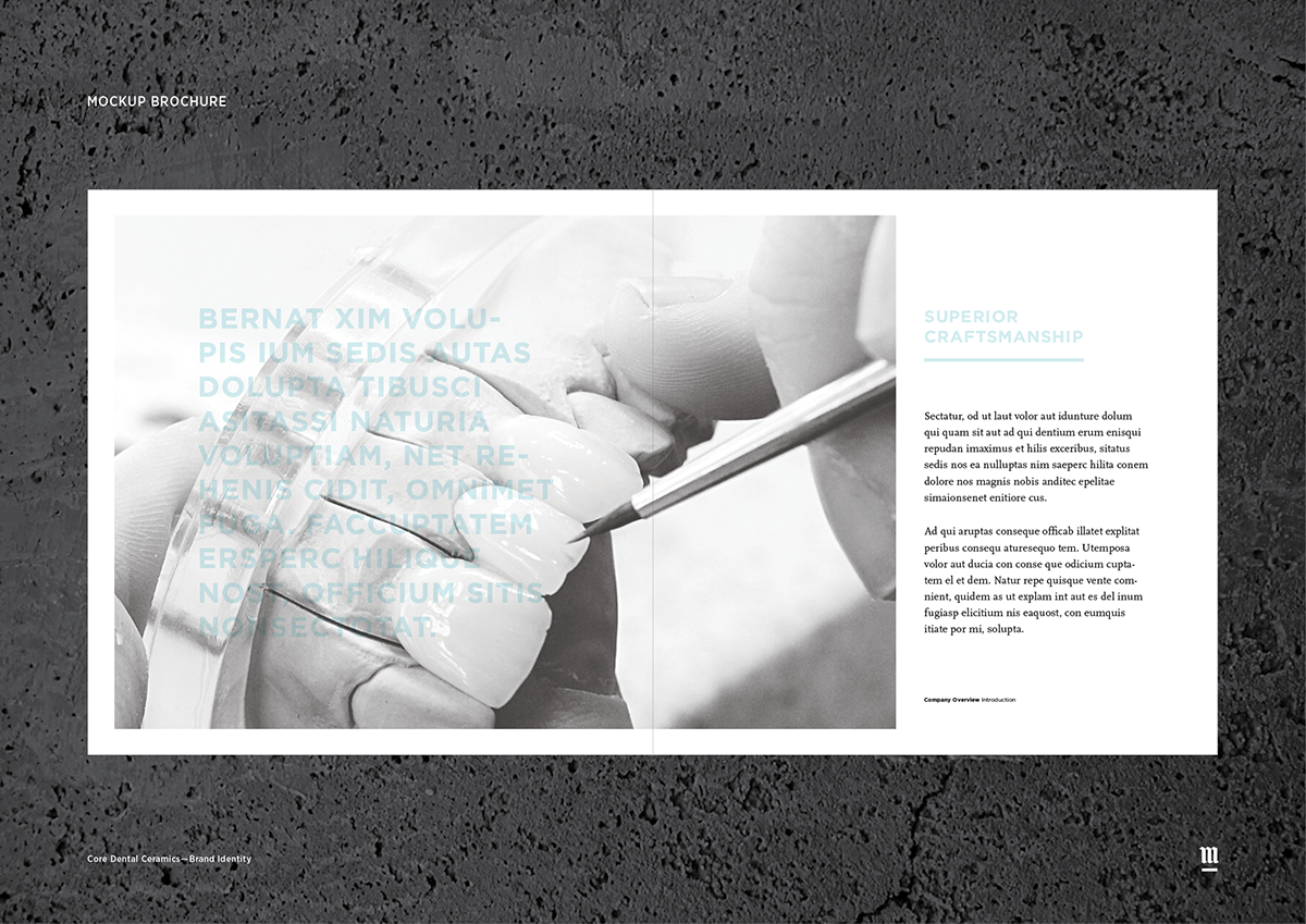 Scott Murphy Design & Communications Core Dental Ceramics