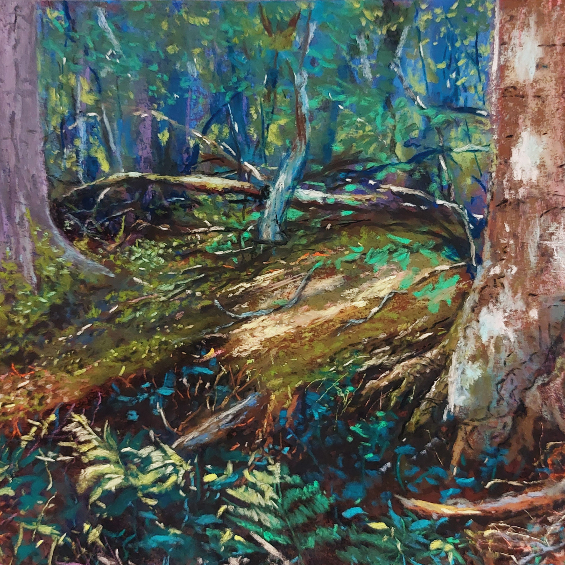 Old Forest - 23 x 23 cm