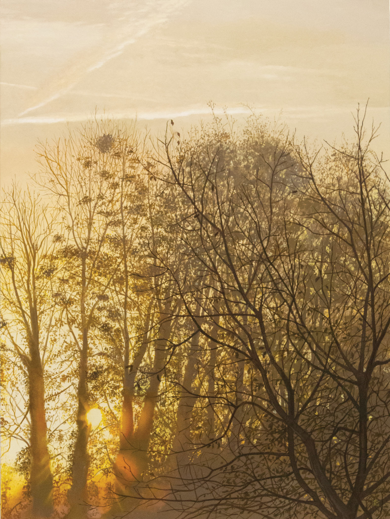 Sunrise #01, Wichelen - oil on panel - 60 x 80 cm - SOLD
