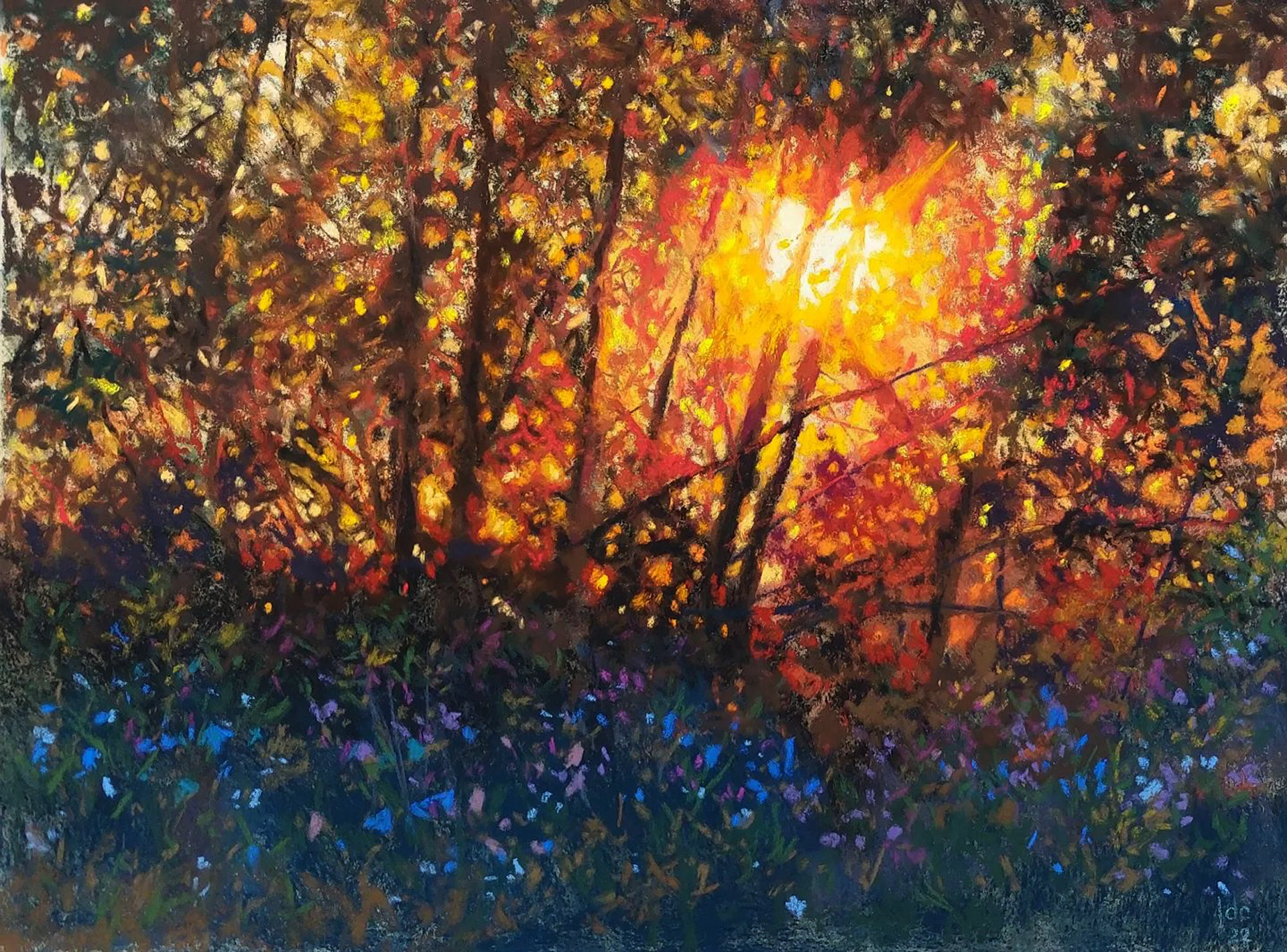 Sunset - Bergenmeersen - 40 x 30 cm