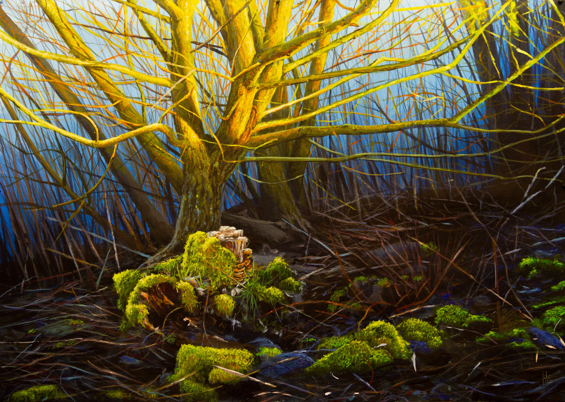 Evening Light On Riverbank, De Schelde, Wichelen - acrylics on canvas - 59 x 42 cm