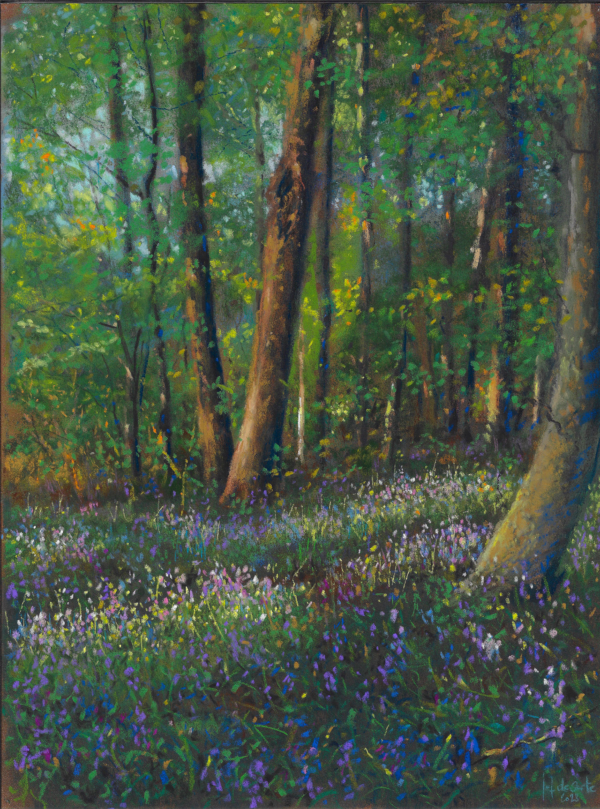Muziekbos - Ronse - 30 x 40 cm