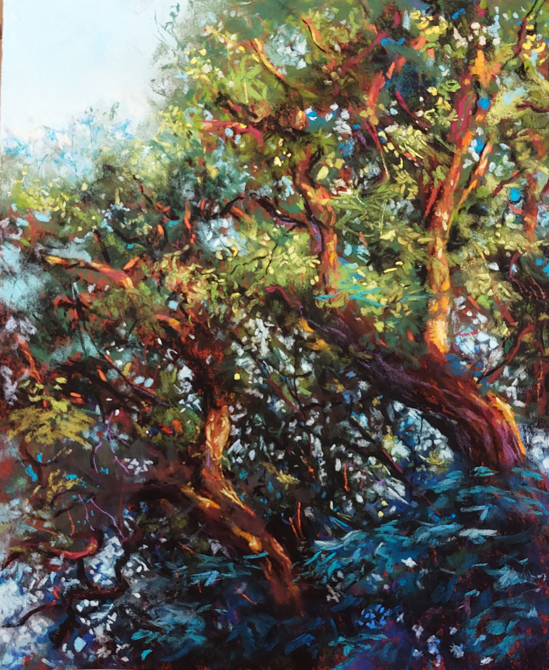 Tree - Lede - 28 x 23 cm
