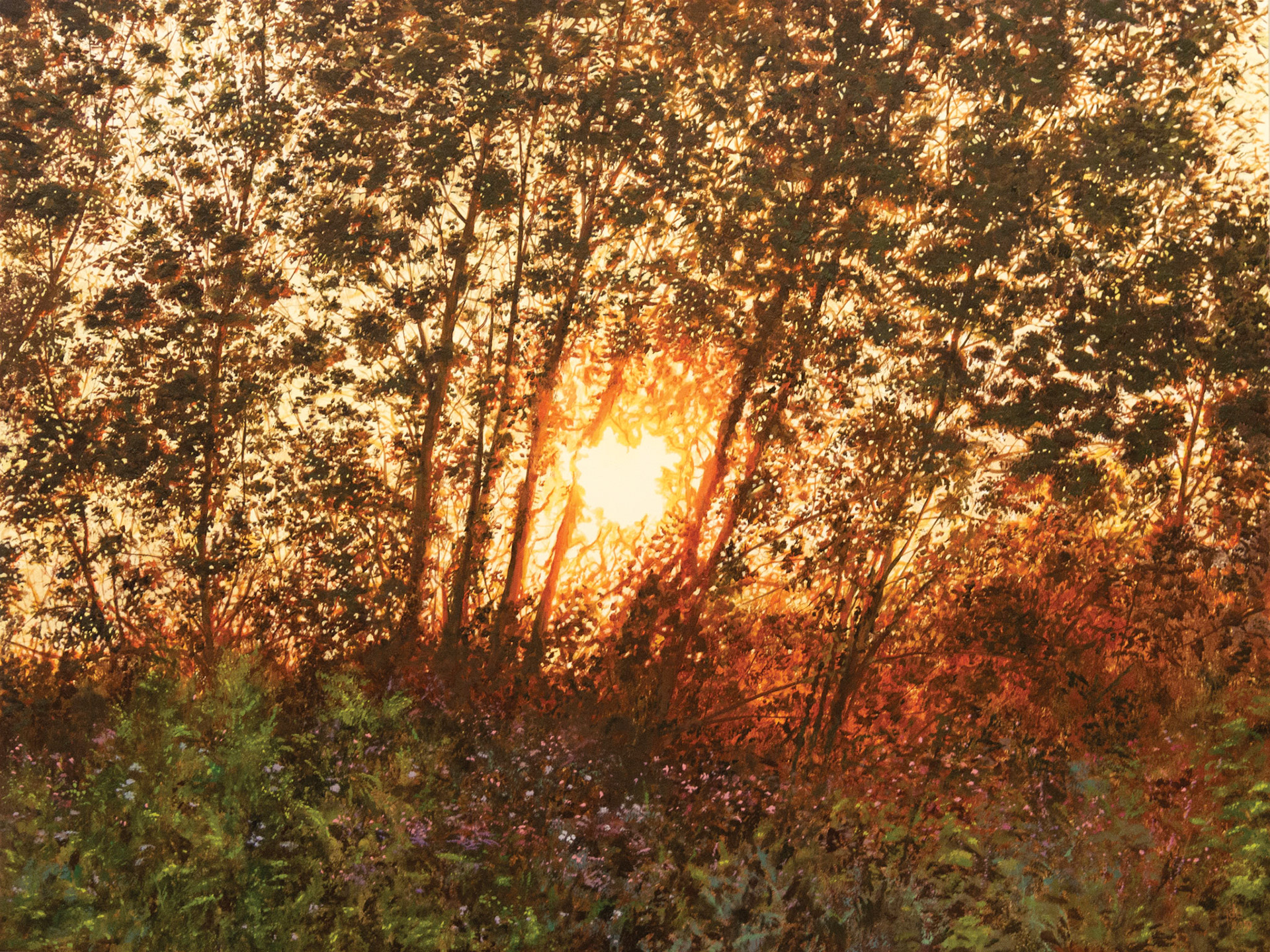 Sunset #02, De Schelde, Wichelen - oil on panel - 120 x 90 cm - SOLD