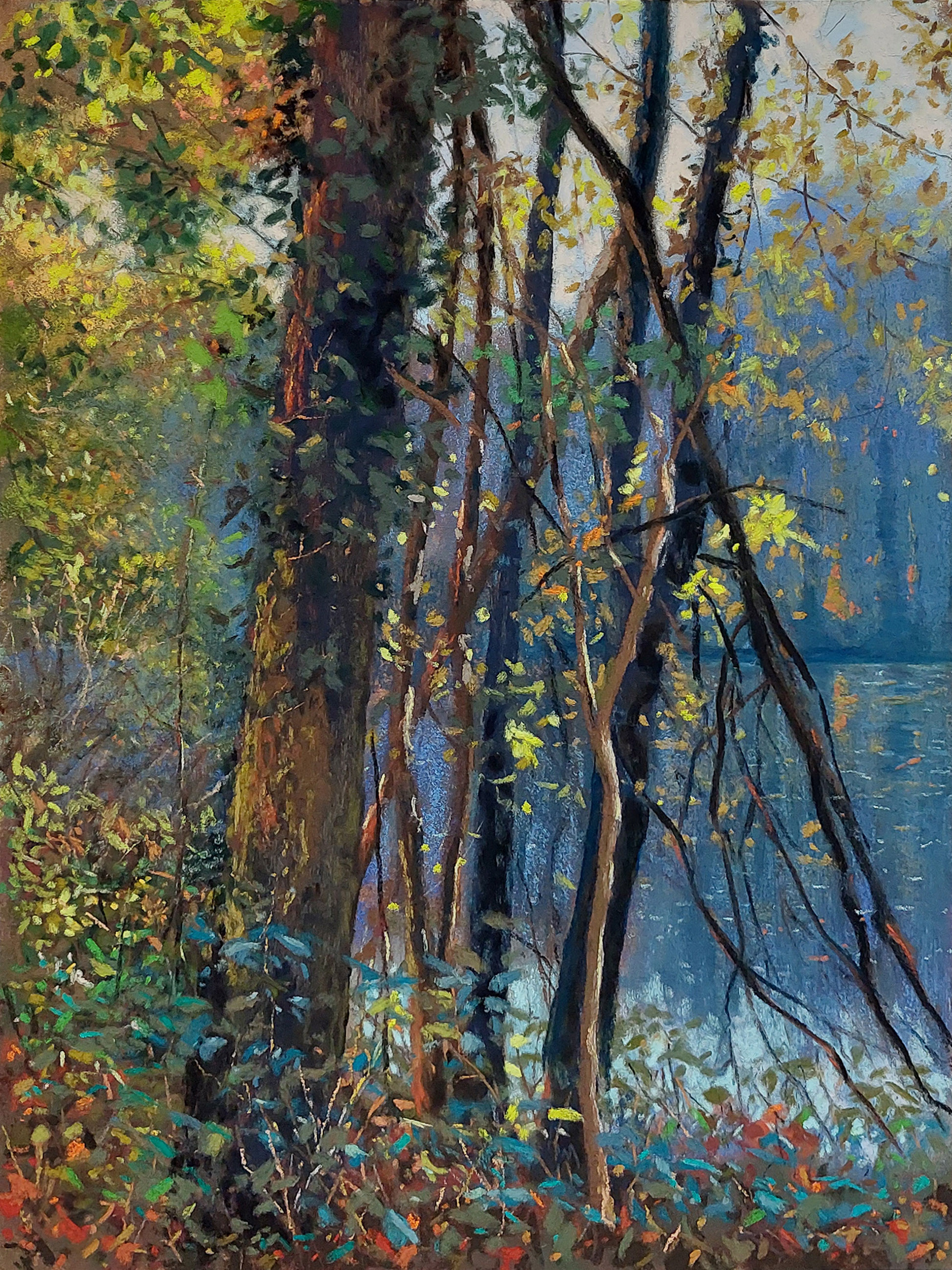 Pond of Serenity - Park Van Mesen - Lede - 30 x 40 cm