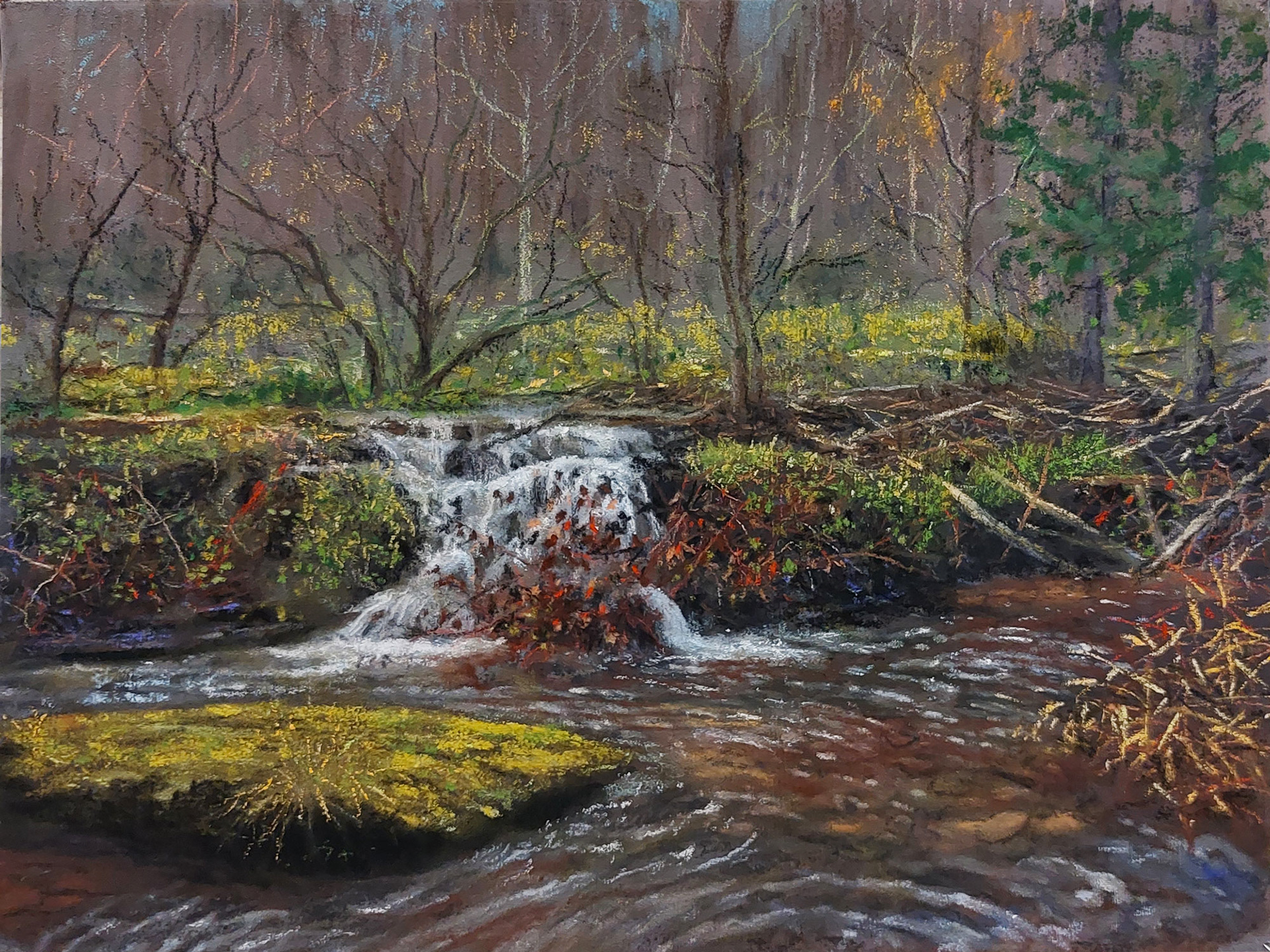 Beaver Dam - Wibrin Area - 40 x 30 cm