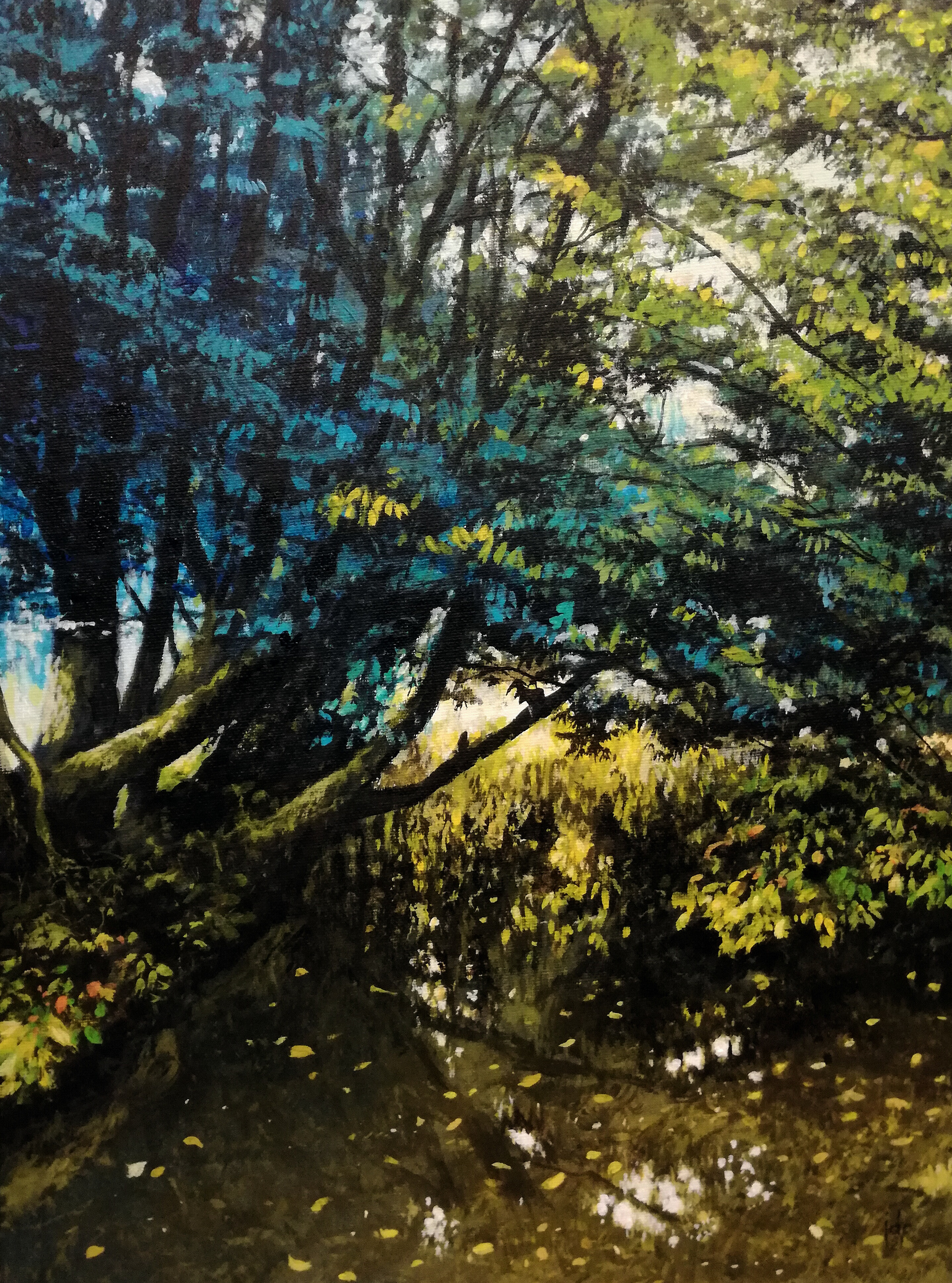 Pond - acrylic on canvas - 30 x 40 cm