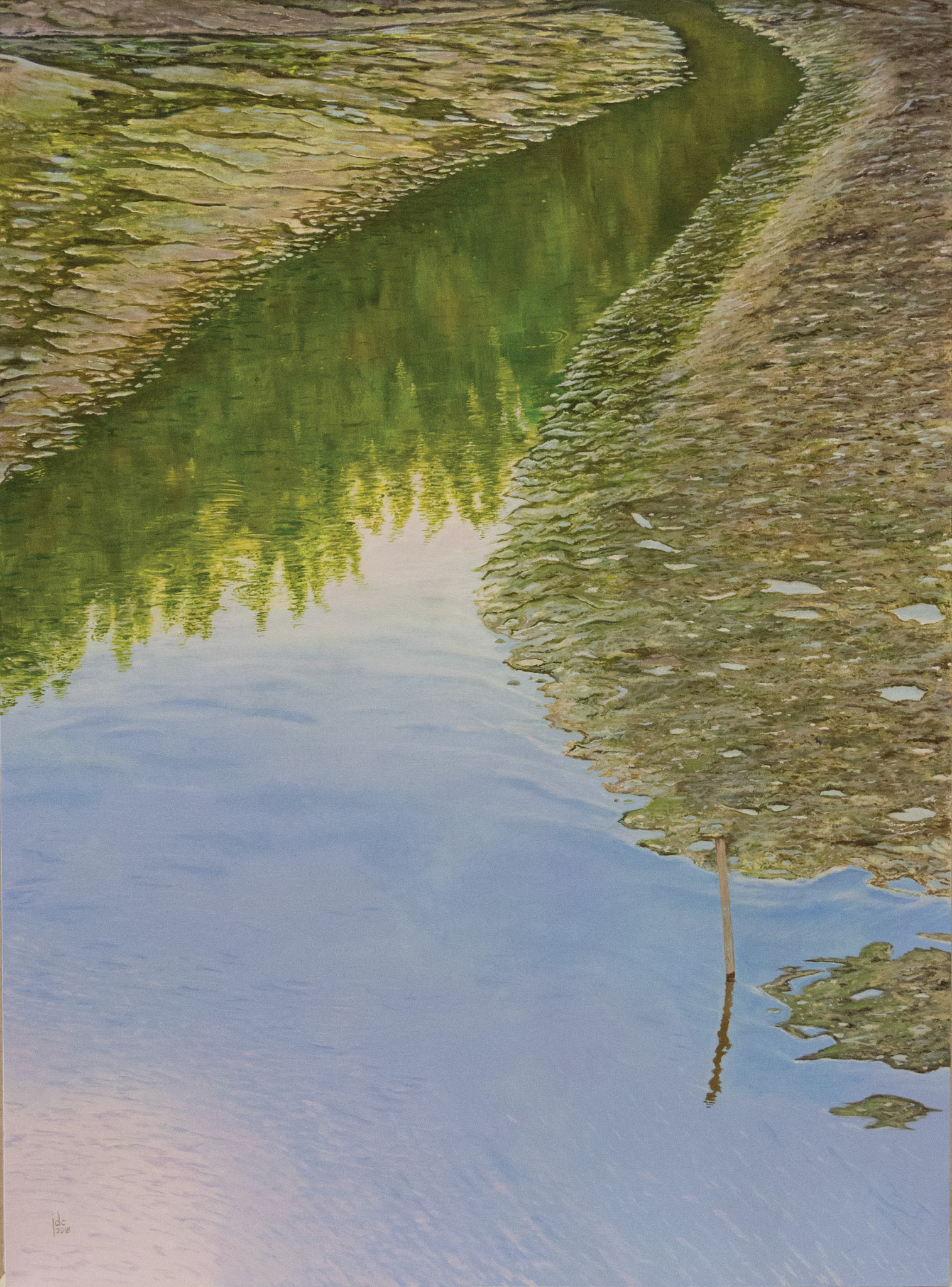 Tide Puddle, Bergenmeersen, Wichelen - oil on panel - 60 x 80 cm