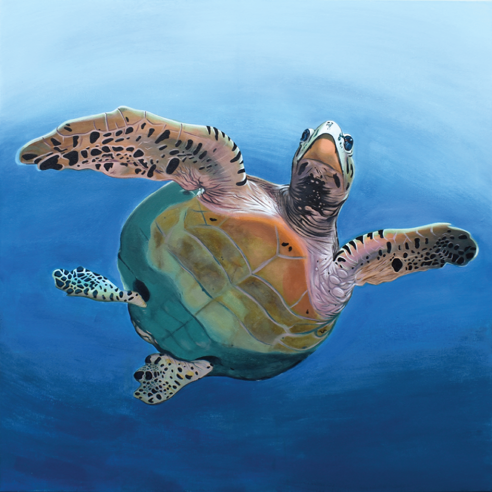 REAL Magic (Pre-destruction)