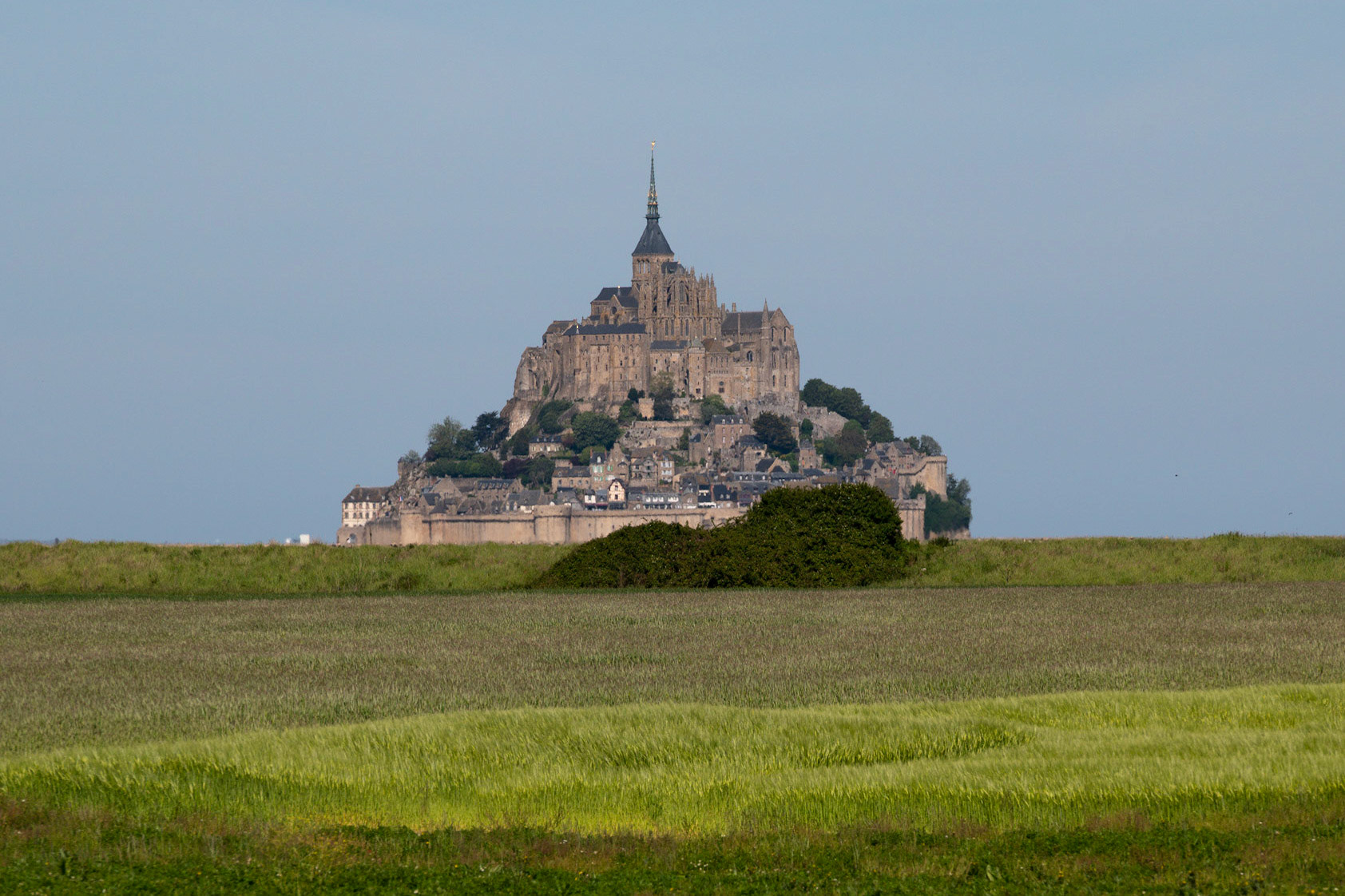 Sea of grass Mont Saint Michel