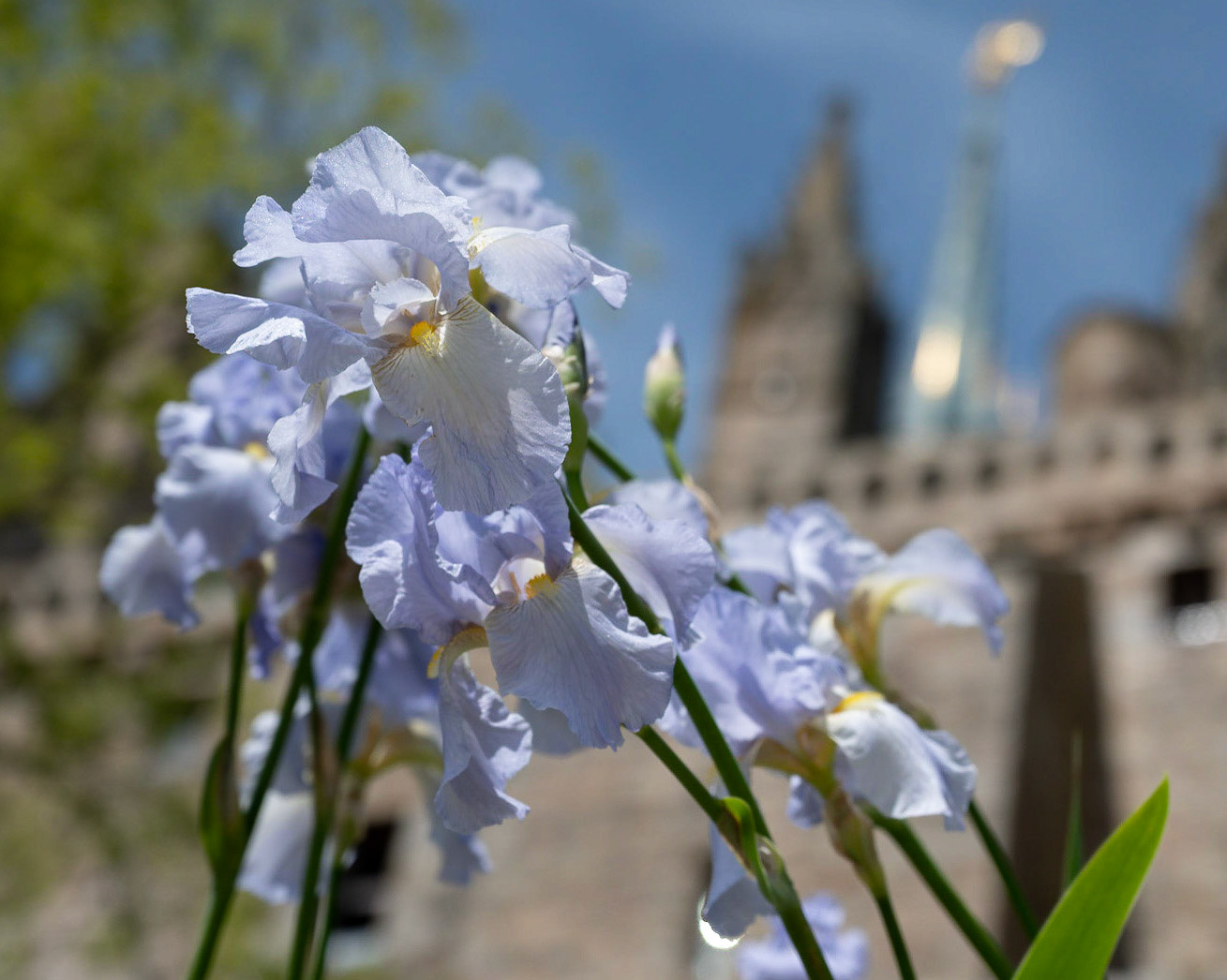 Mont Saint Michel