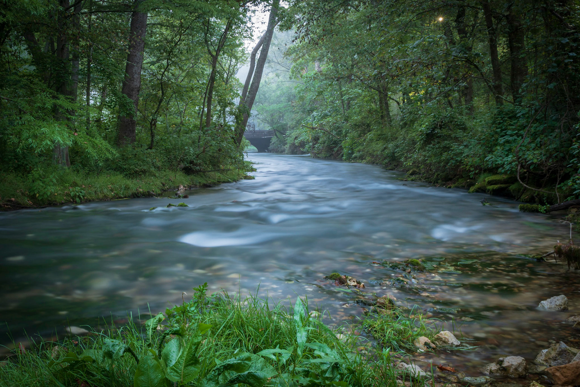 The sunburns through the fog inearly morning