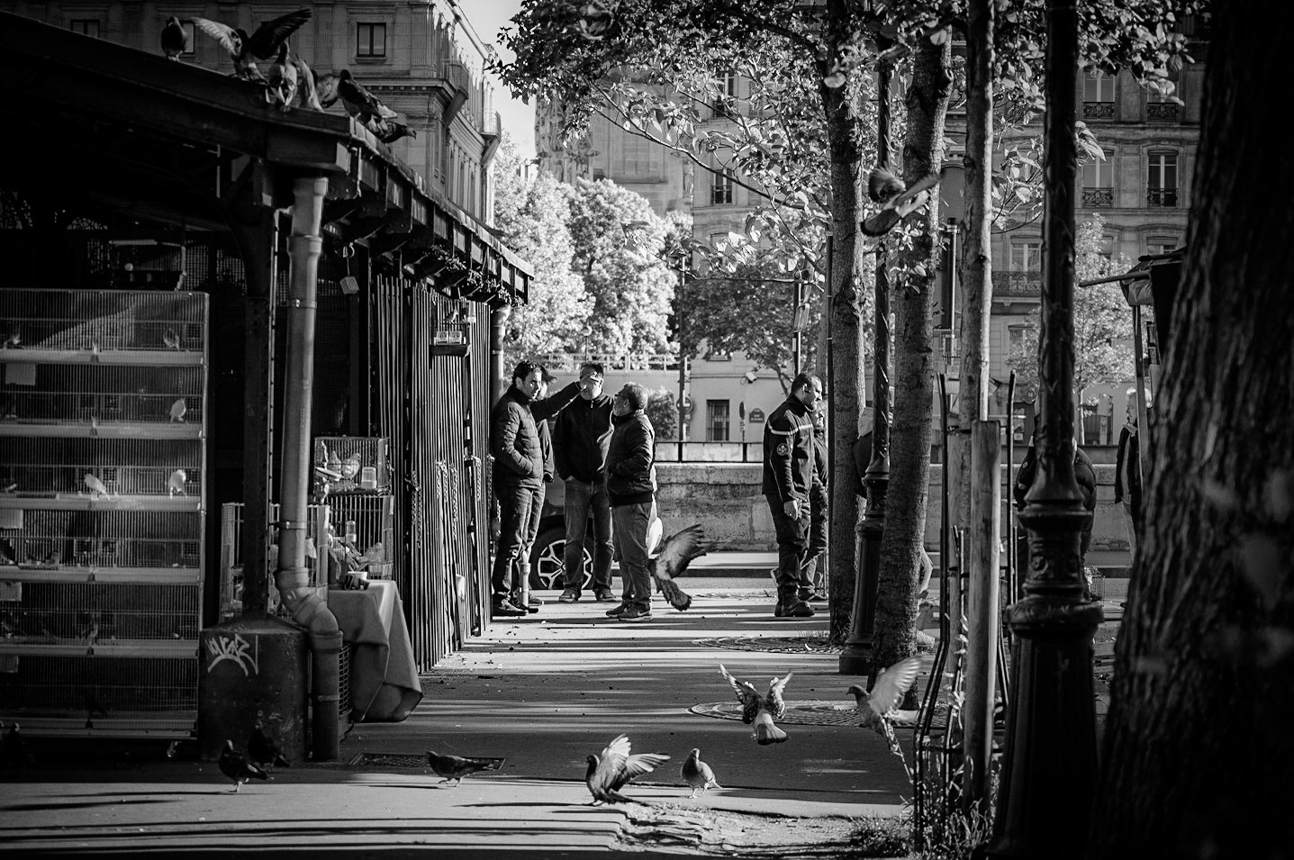 Allee Celestin Hennion