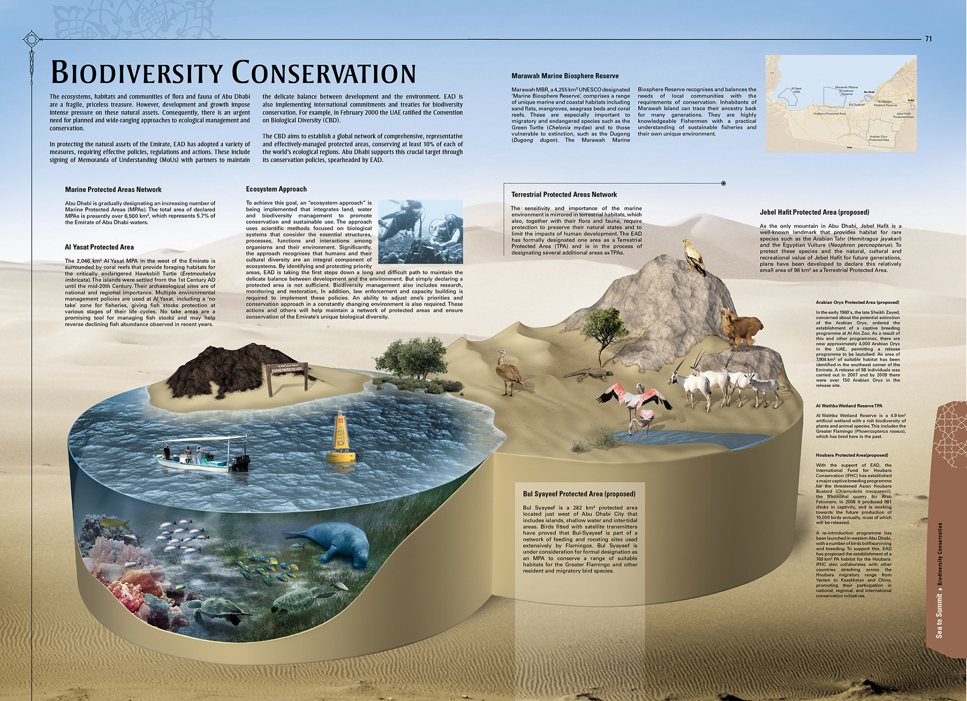 Final artwork in actual size stage starts once I get an approval on the digital mock-up, this stage has many steps on its own. The following page will detail those stages using another cross-section example.
