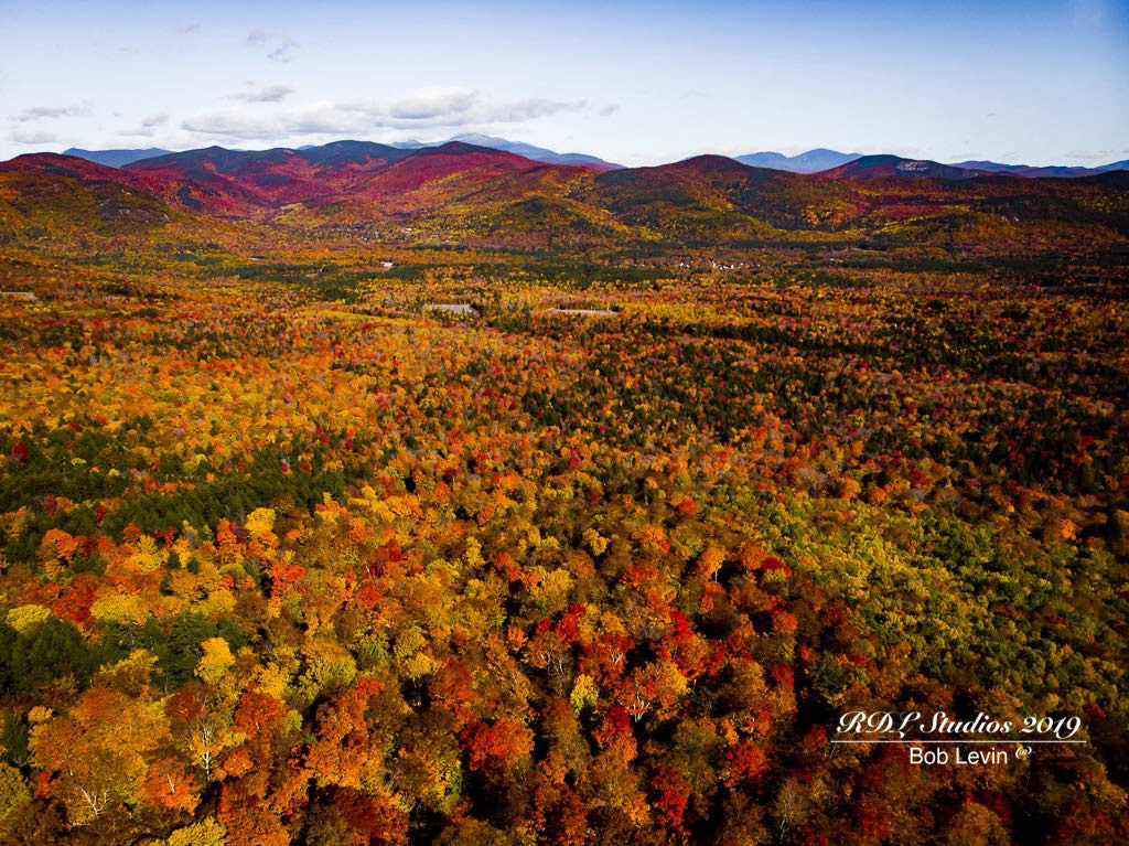 Fall Foliage