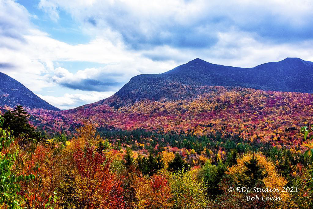 Fall Foliage