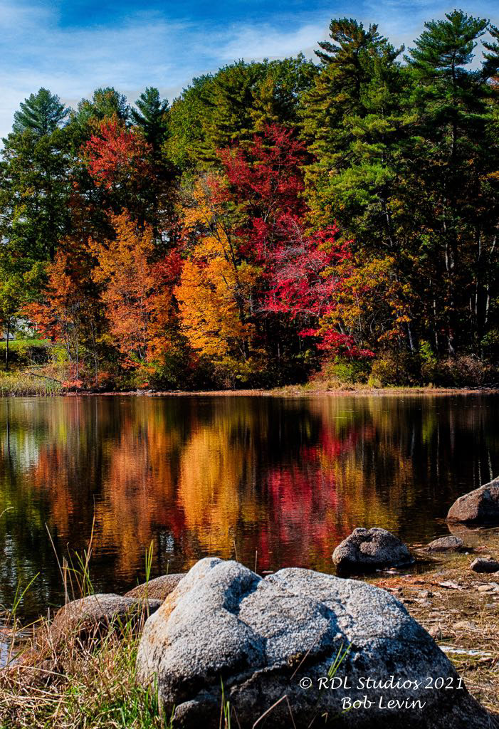Fall Foliage