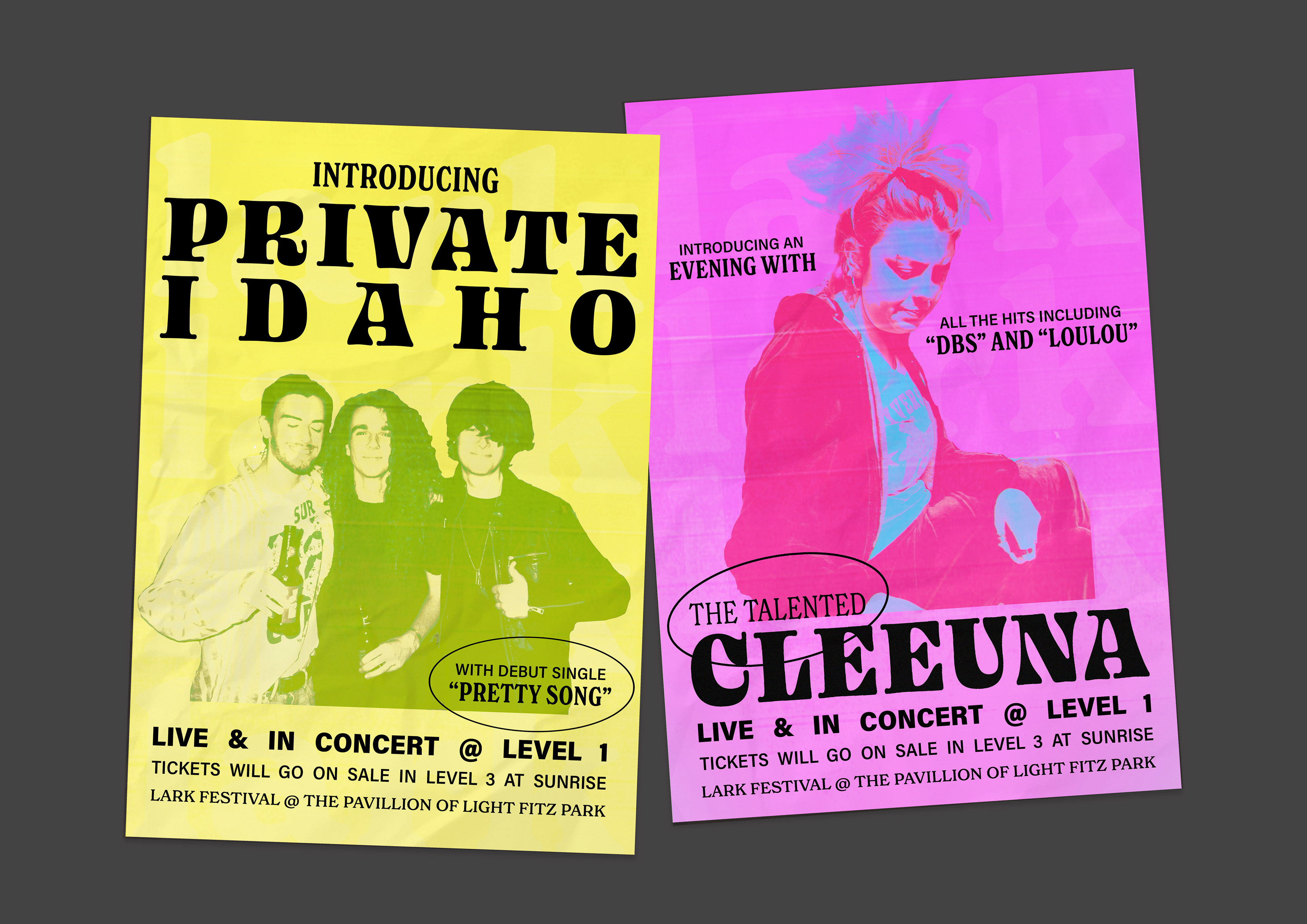 Examples of posters for musicians.