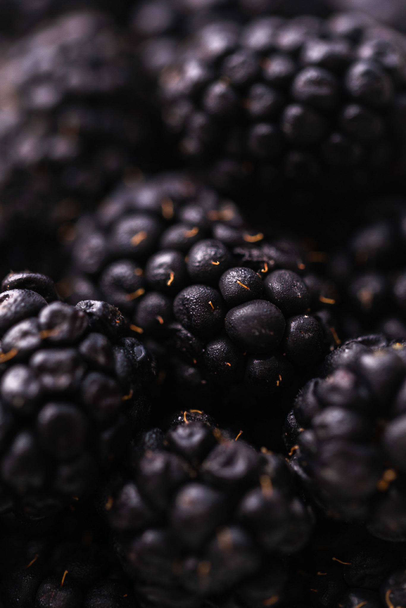 Moras macro-Personal work