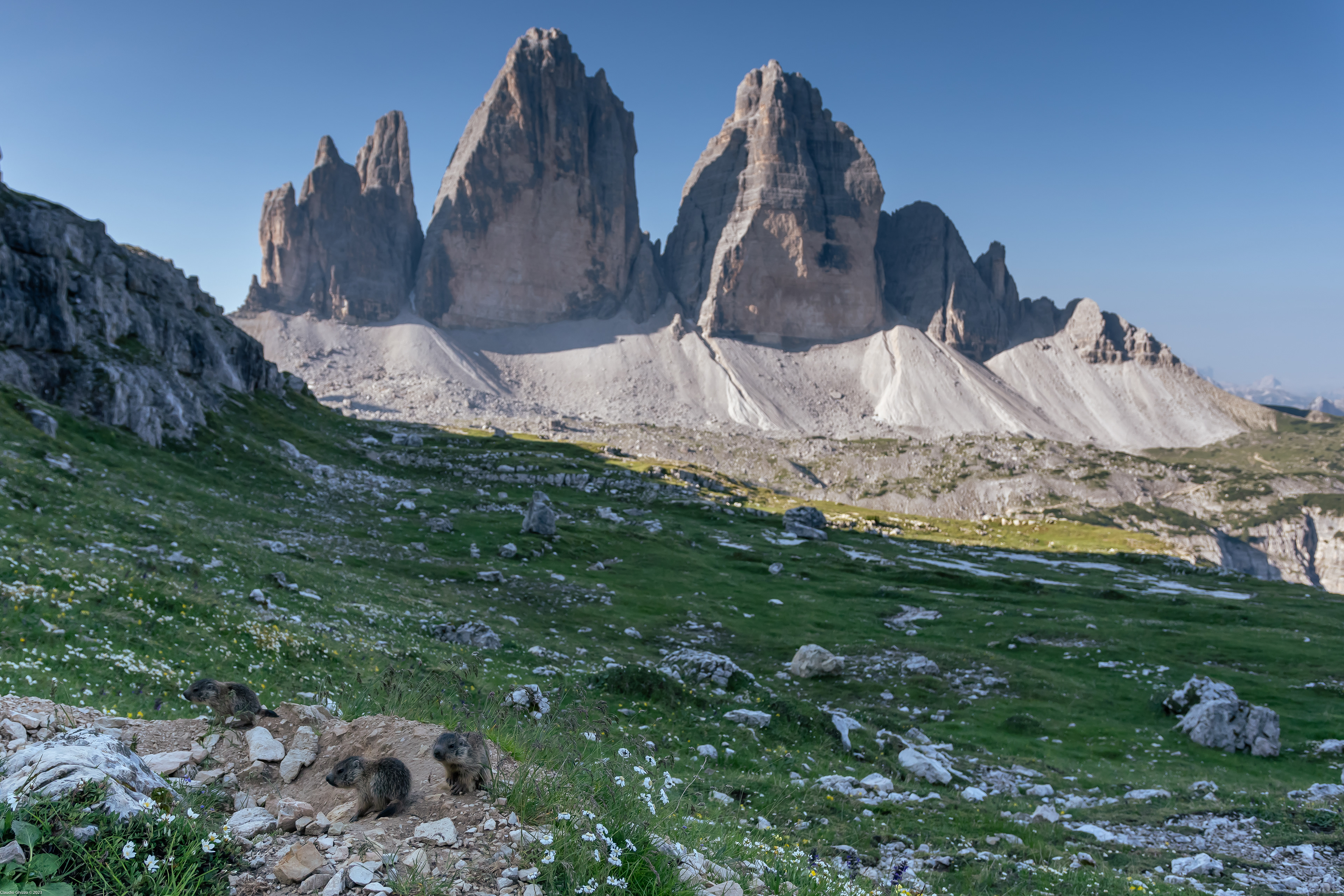 Tre Cime e Tre Giovani Marmotte 