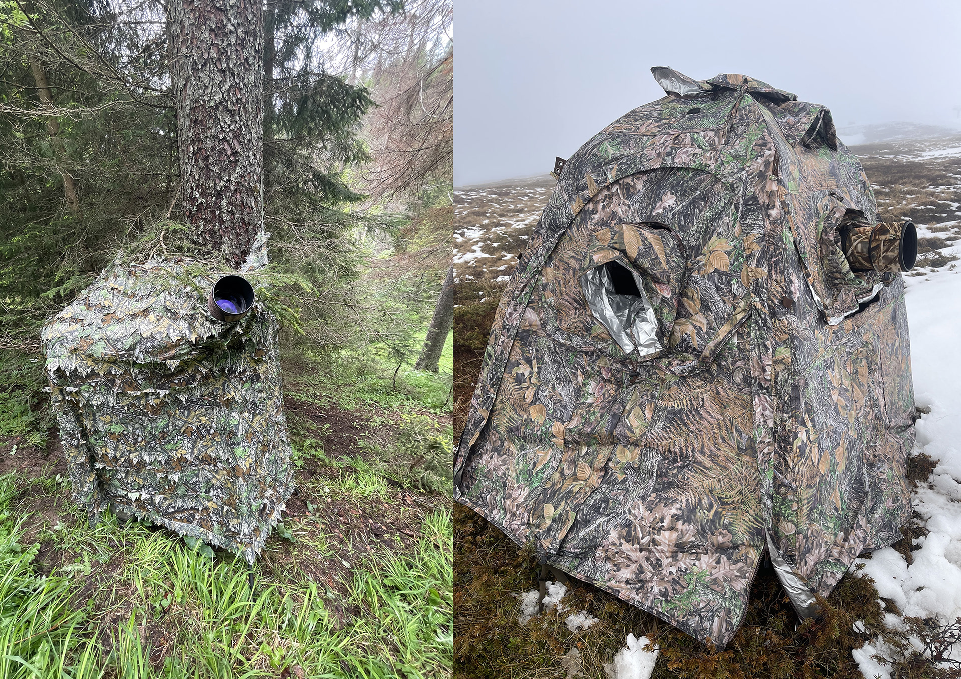 Esempi di appostamento: tenda mimetica vs capanno mimetico 