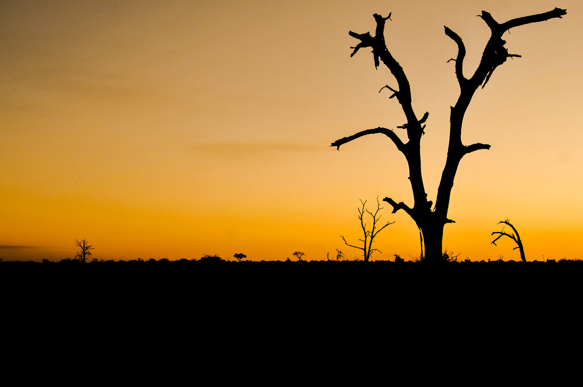 📍Kruger, Sudafrica