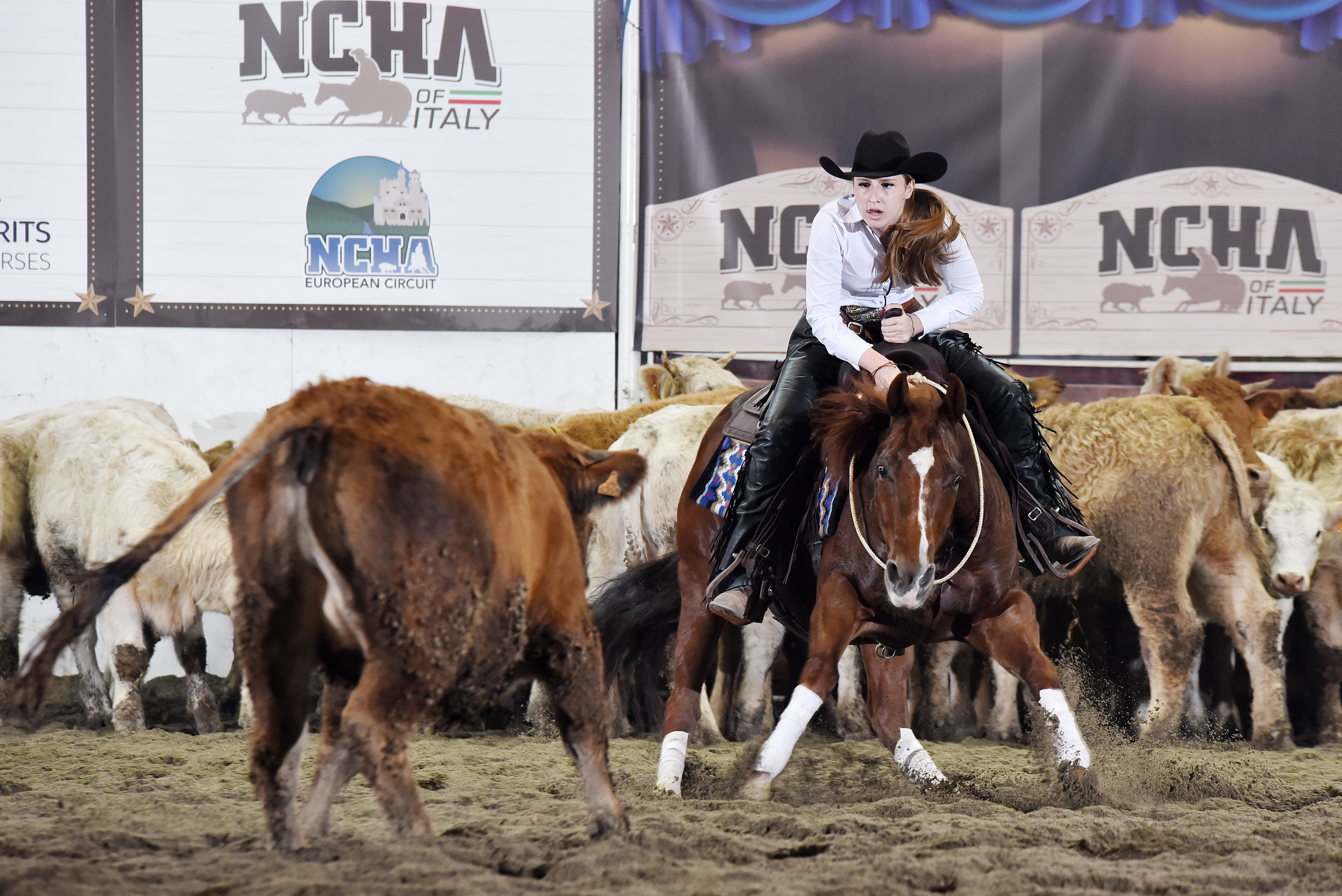 Cremona, IT 2025 / Foto Juan Baialardo © Bonaga Communication