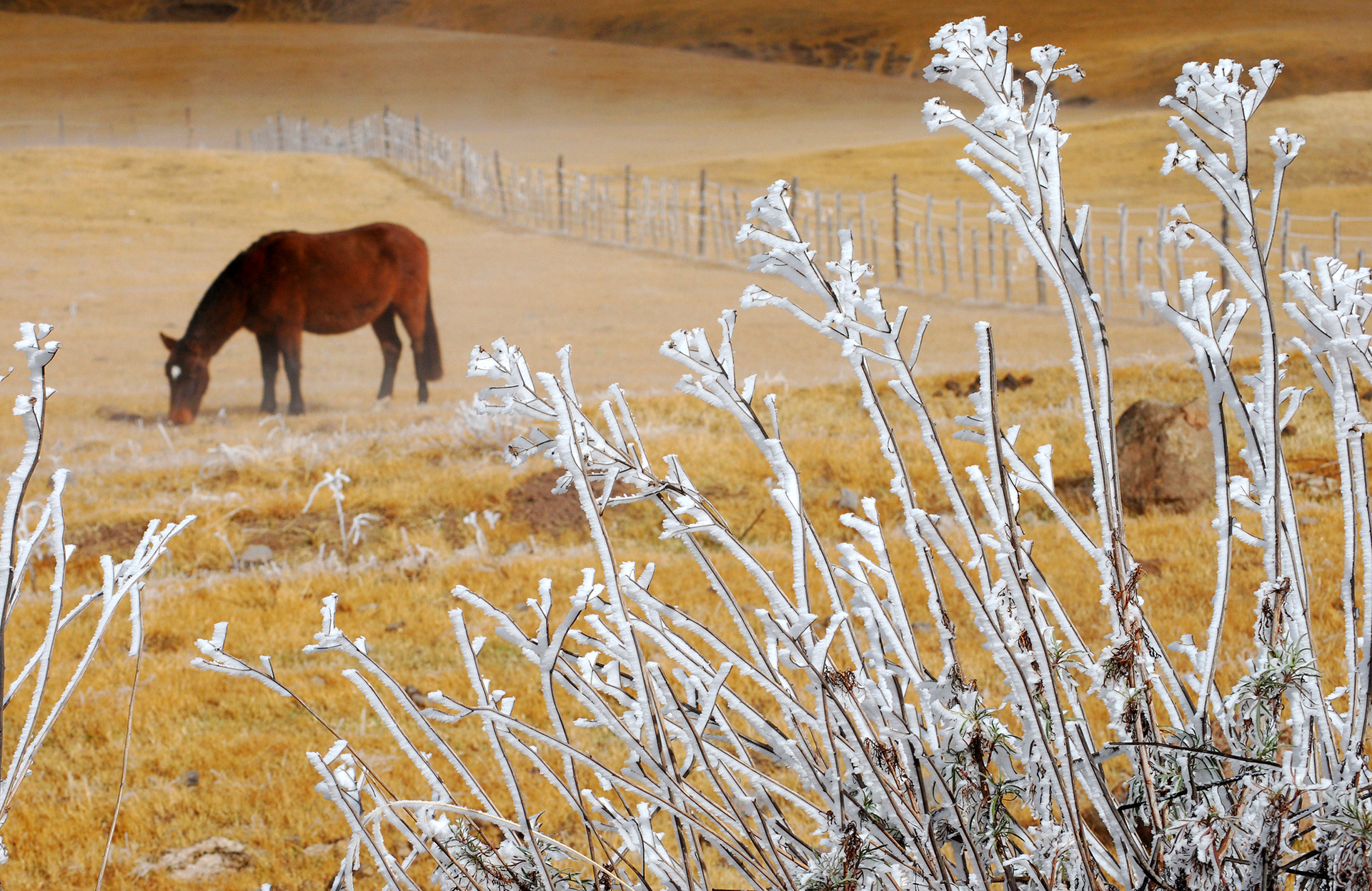 📍Tafi del Valle, ARG.
