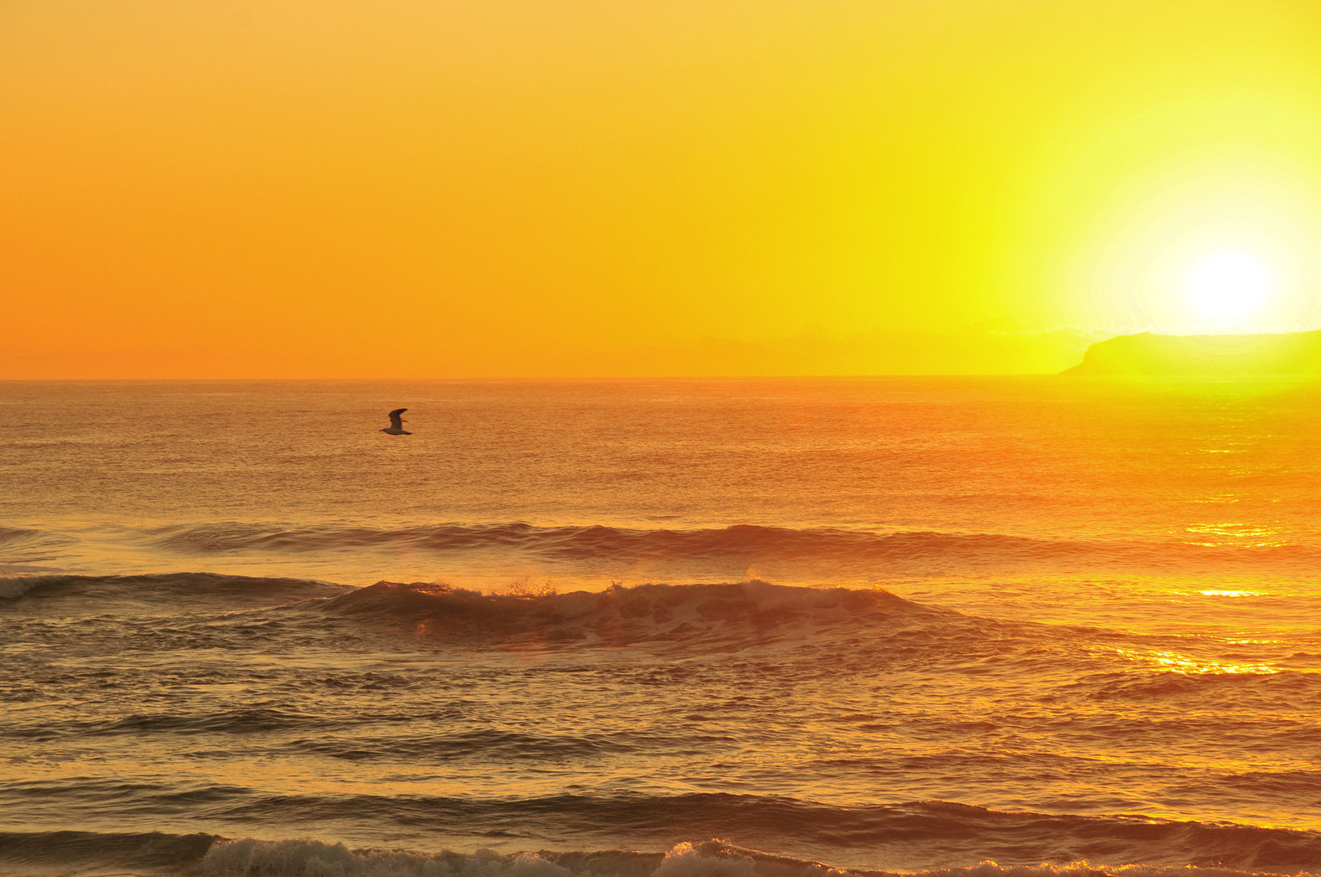 📍Floripa, Brasile