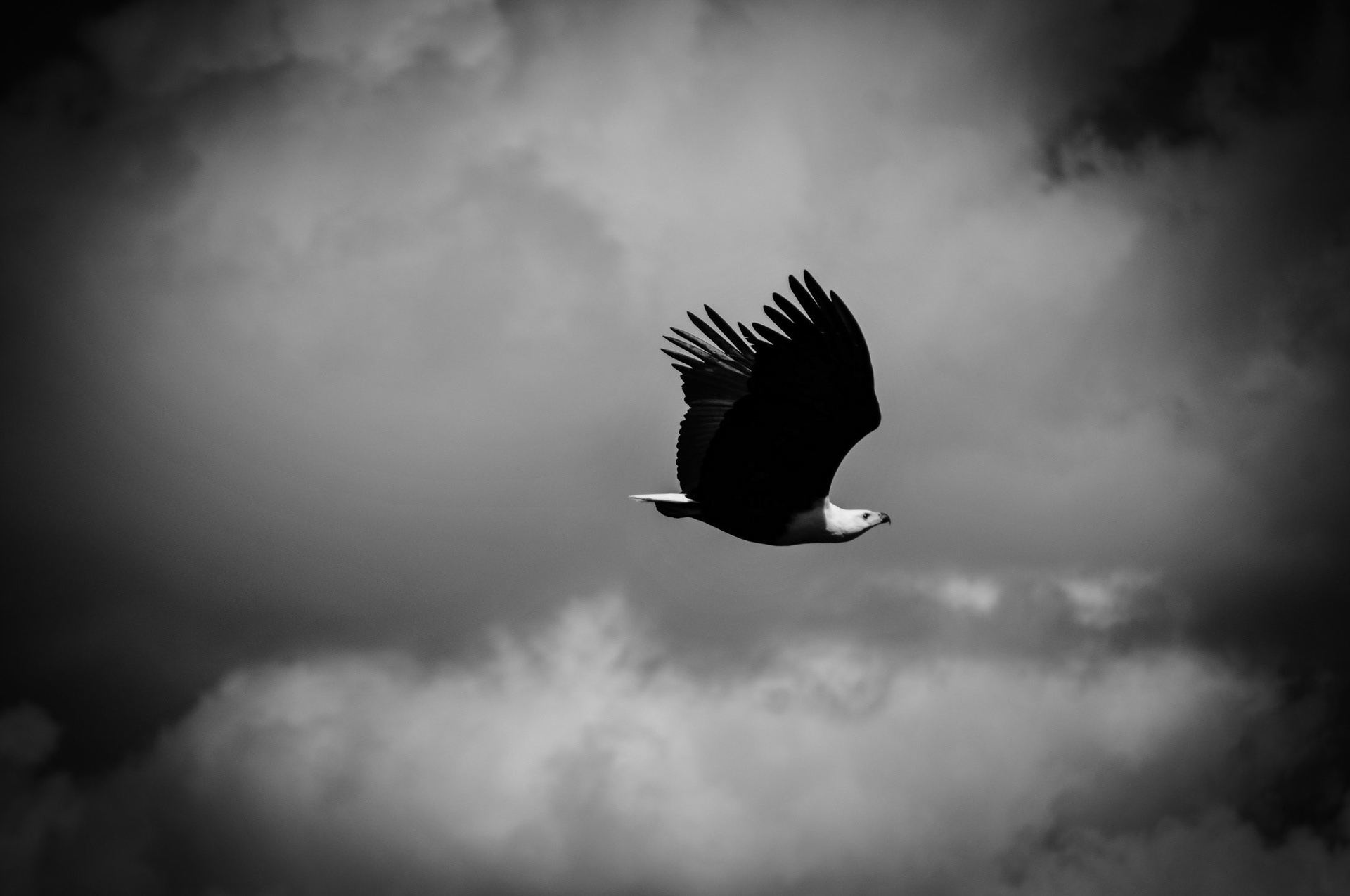 📍Kruger, Sudafrica