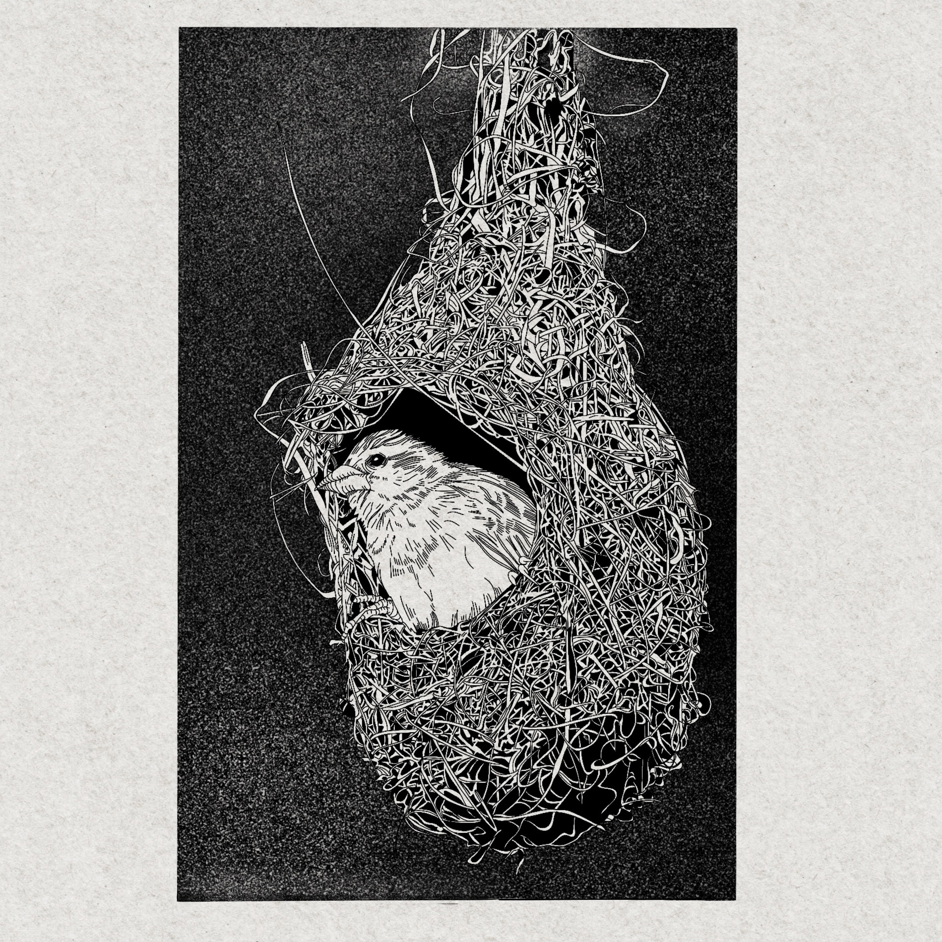 Inktober: "Nest", 2022, digital drawing