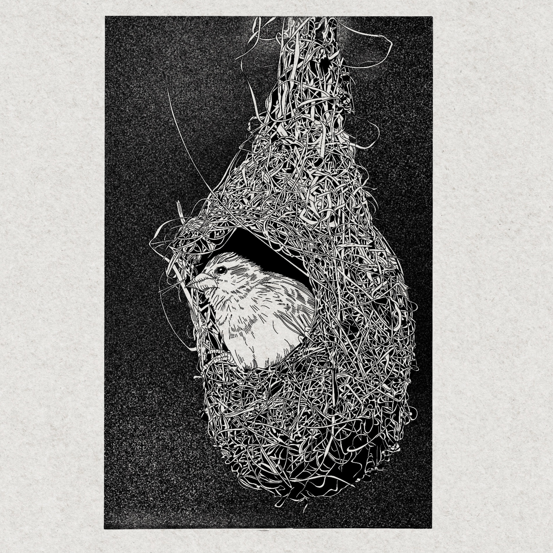Inktober Challenge: "Nest"
