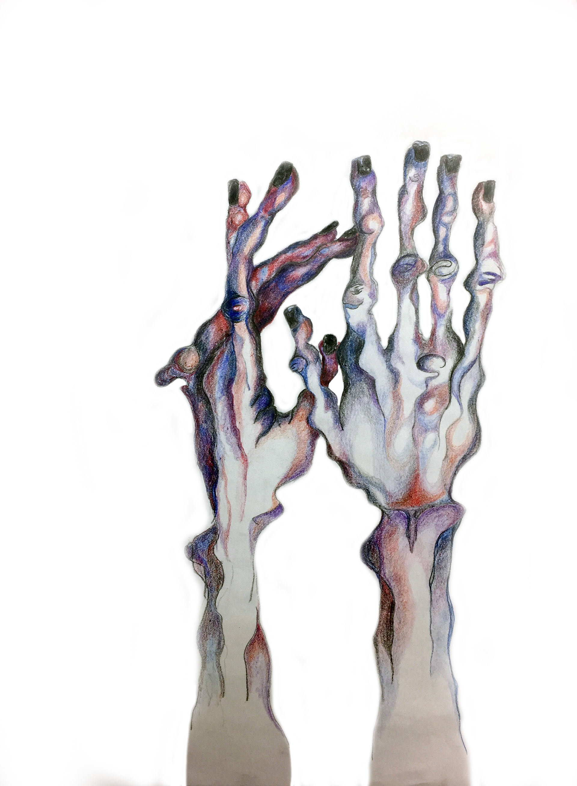 "Self Portrait 2/4", 2016, colored pencil on paper, 18x24 in.