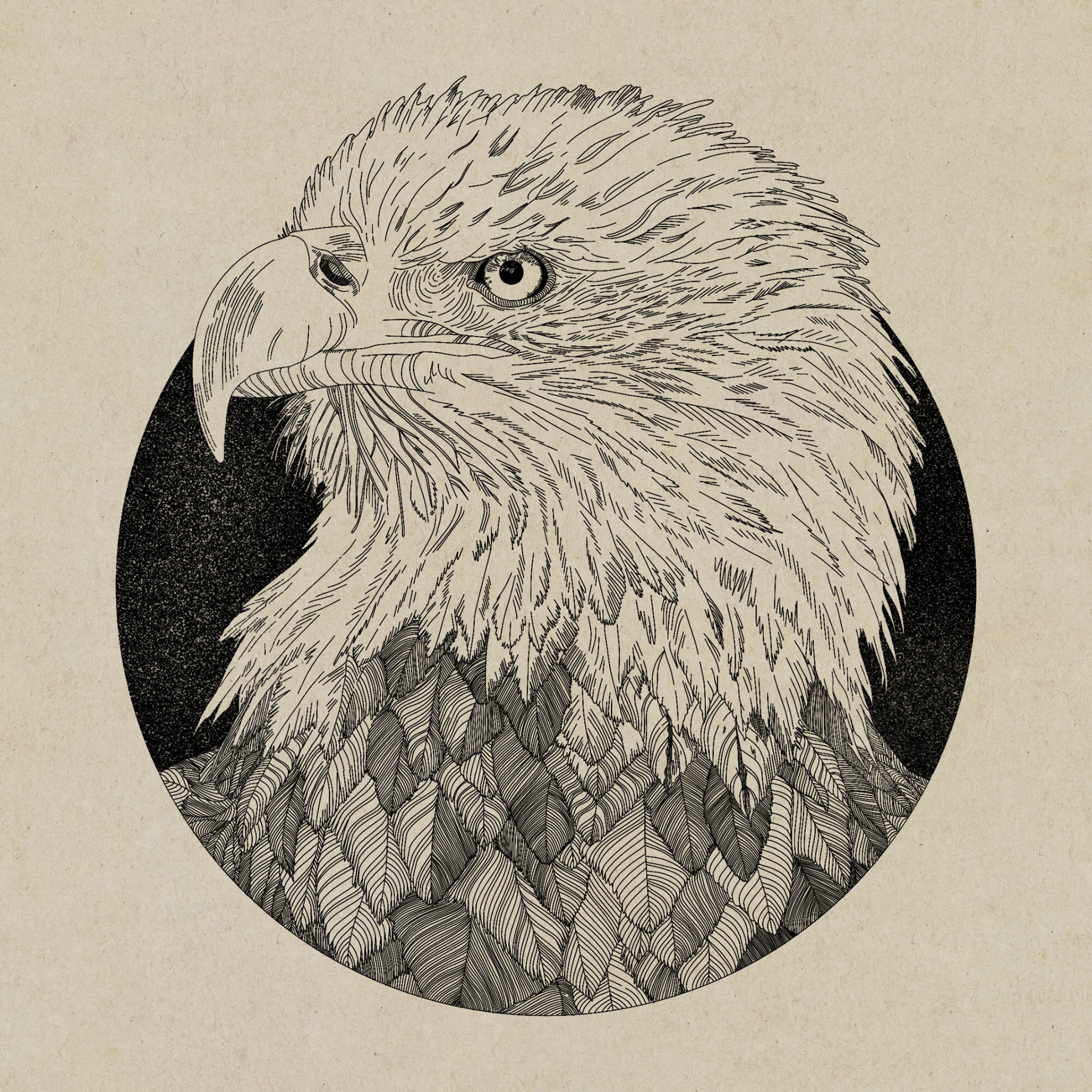 Inktober Challenge: "Eagle"