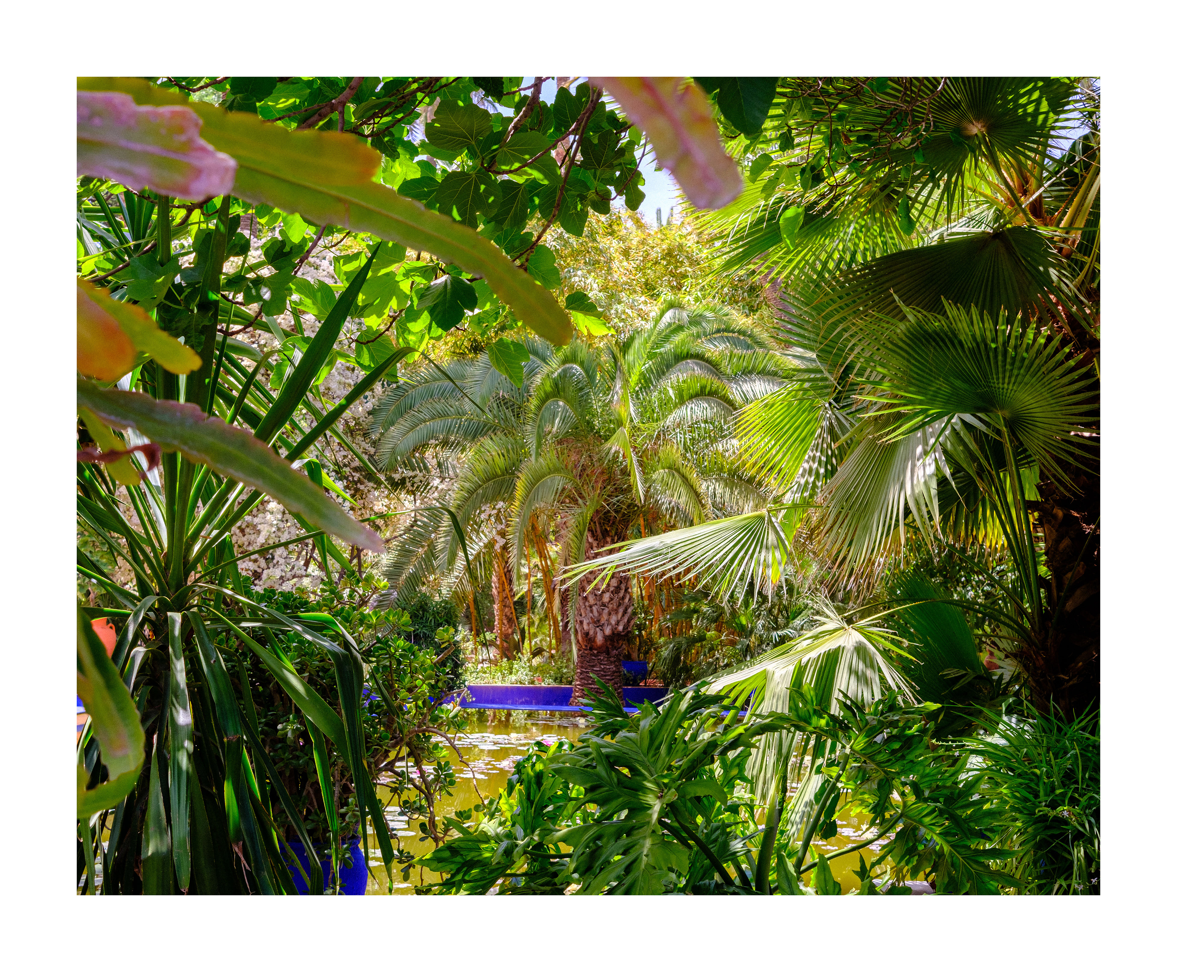 MARRAKECH