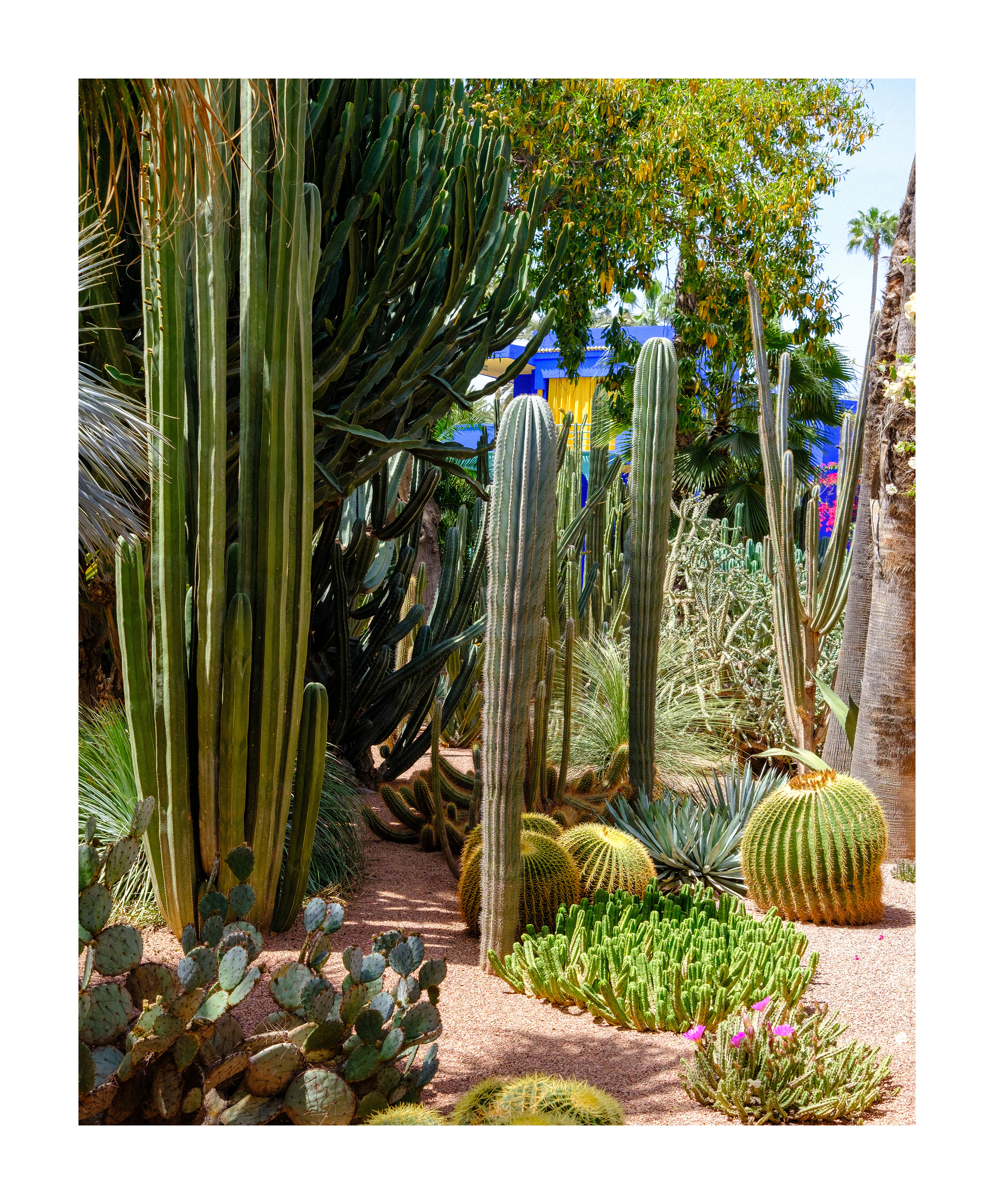 MARRAKECH
