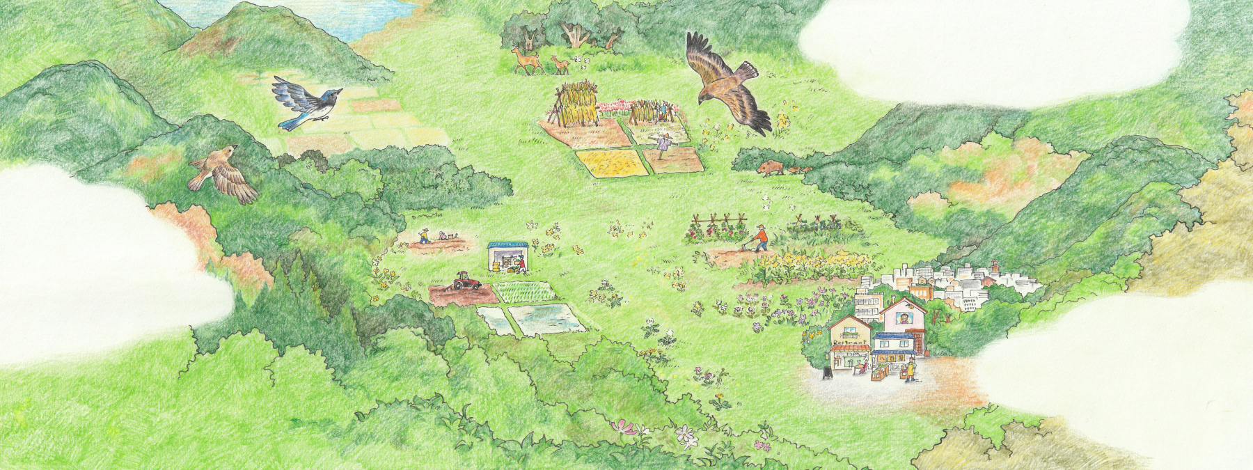 京都オーガニックアクション